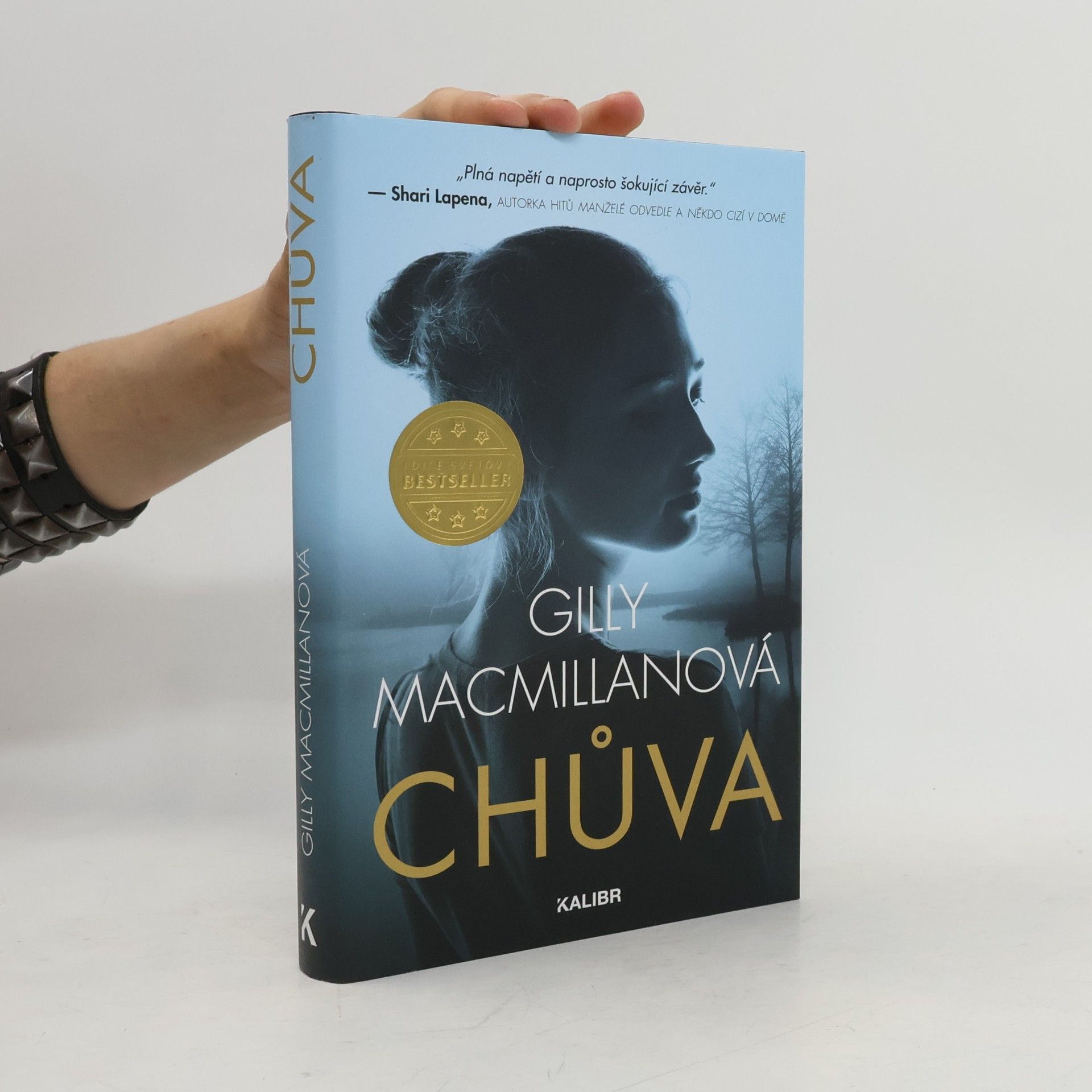Gilly Macmillan Chůva