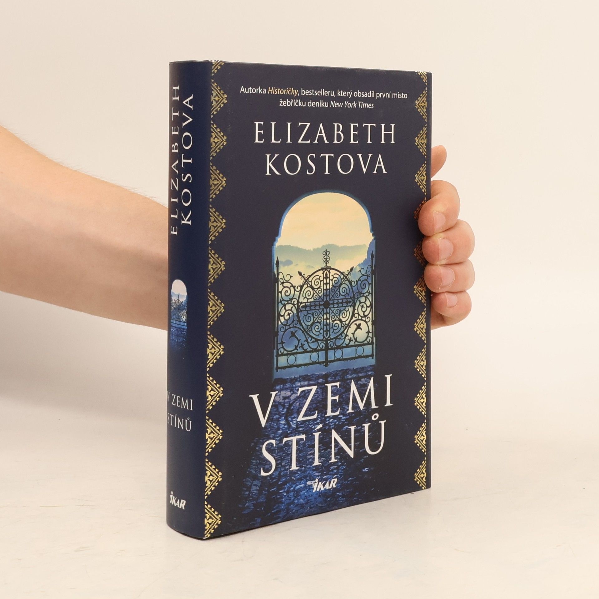 Elizabeth Kostova V zemi stínů