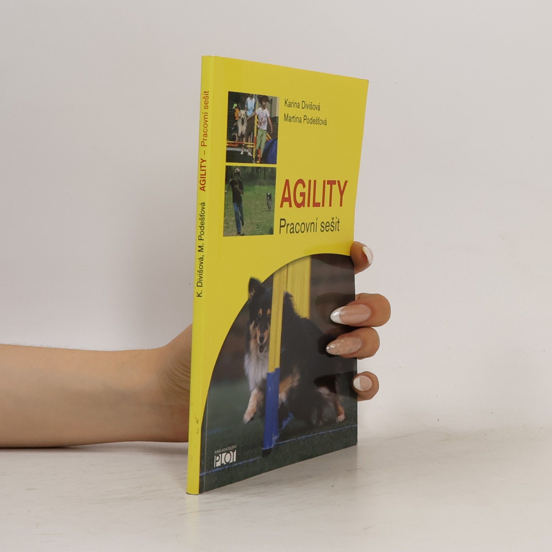 Karina Divišová Agility - Pracovní sešit