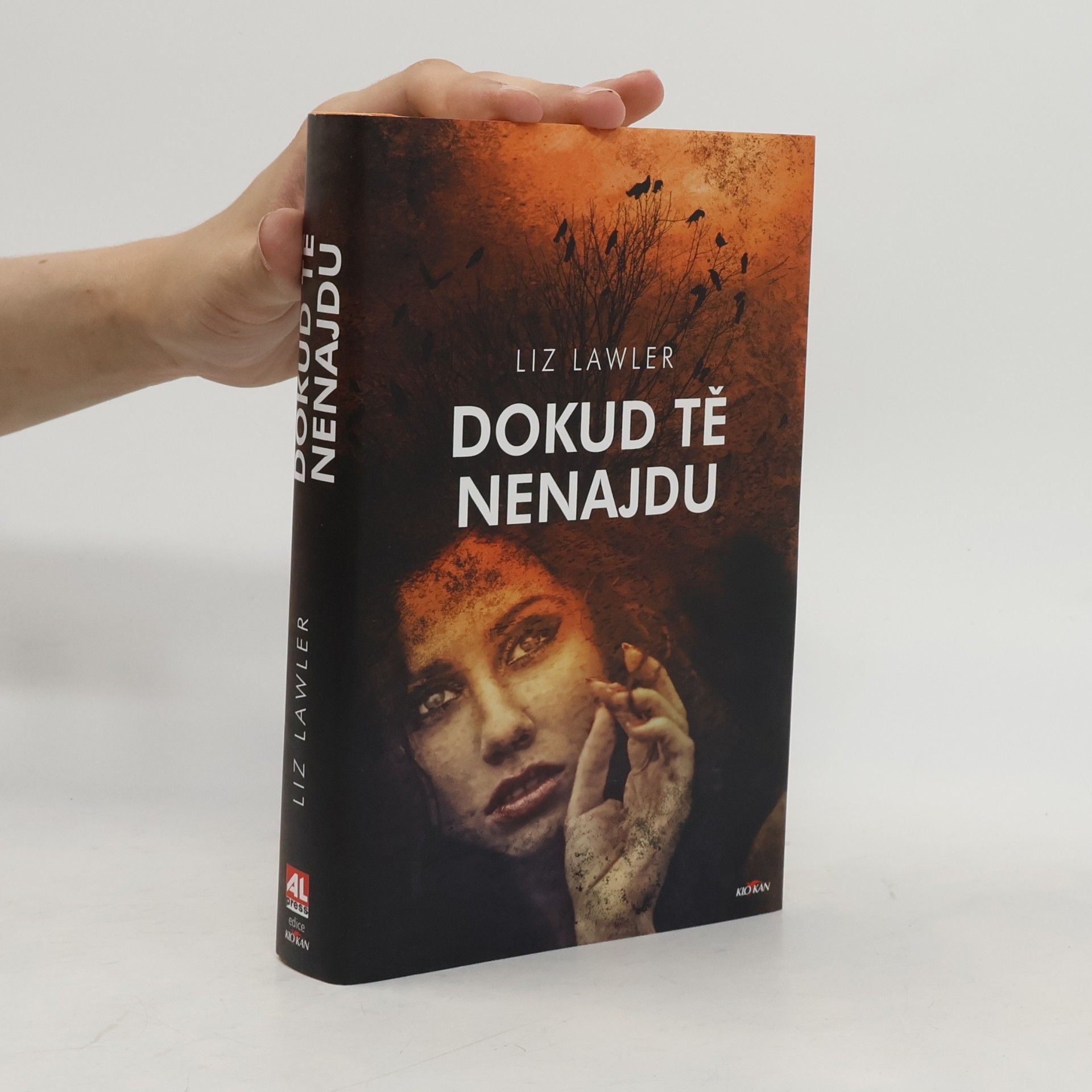 Liz Lawler Dokud tě nenajdu
