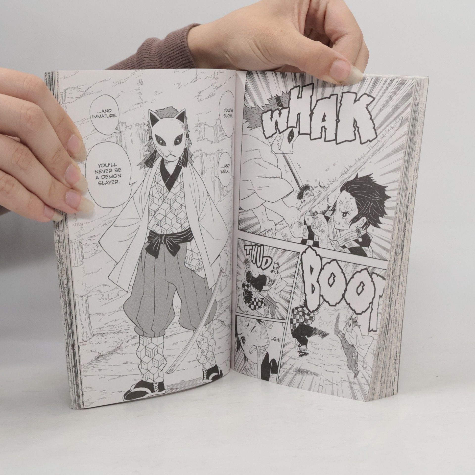 Koyoharu Gotoge Demon slayer 1