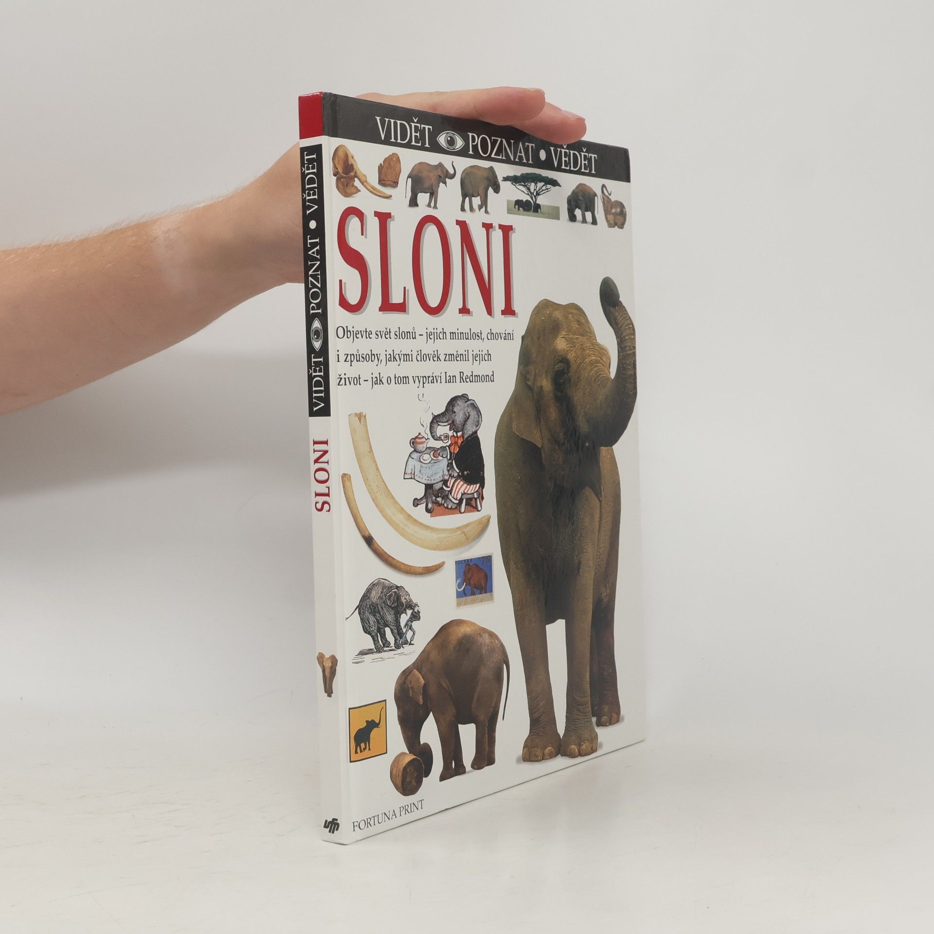Ian Redmond Sloni