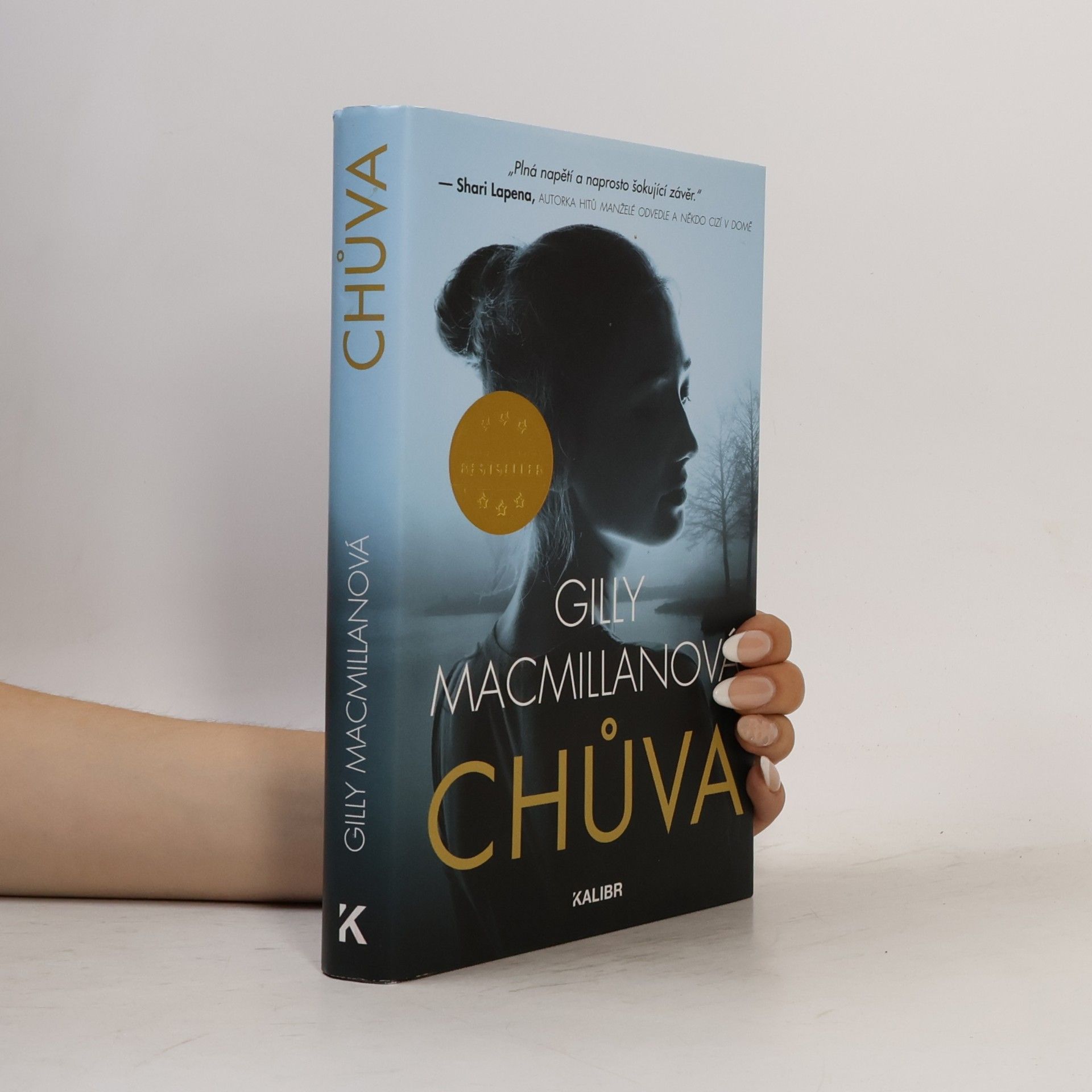 Gilly Macmillan Chůva