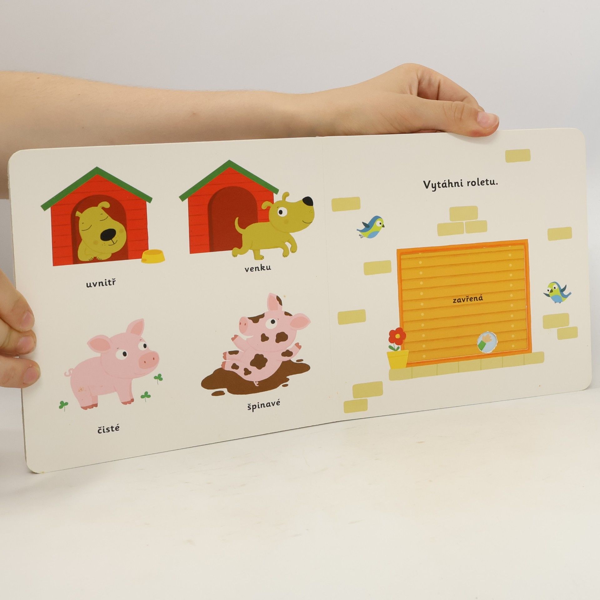 Nathalie Choux Objevujeme svět! Protiklady