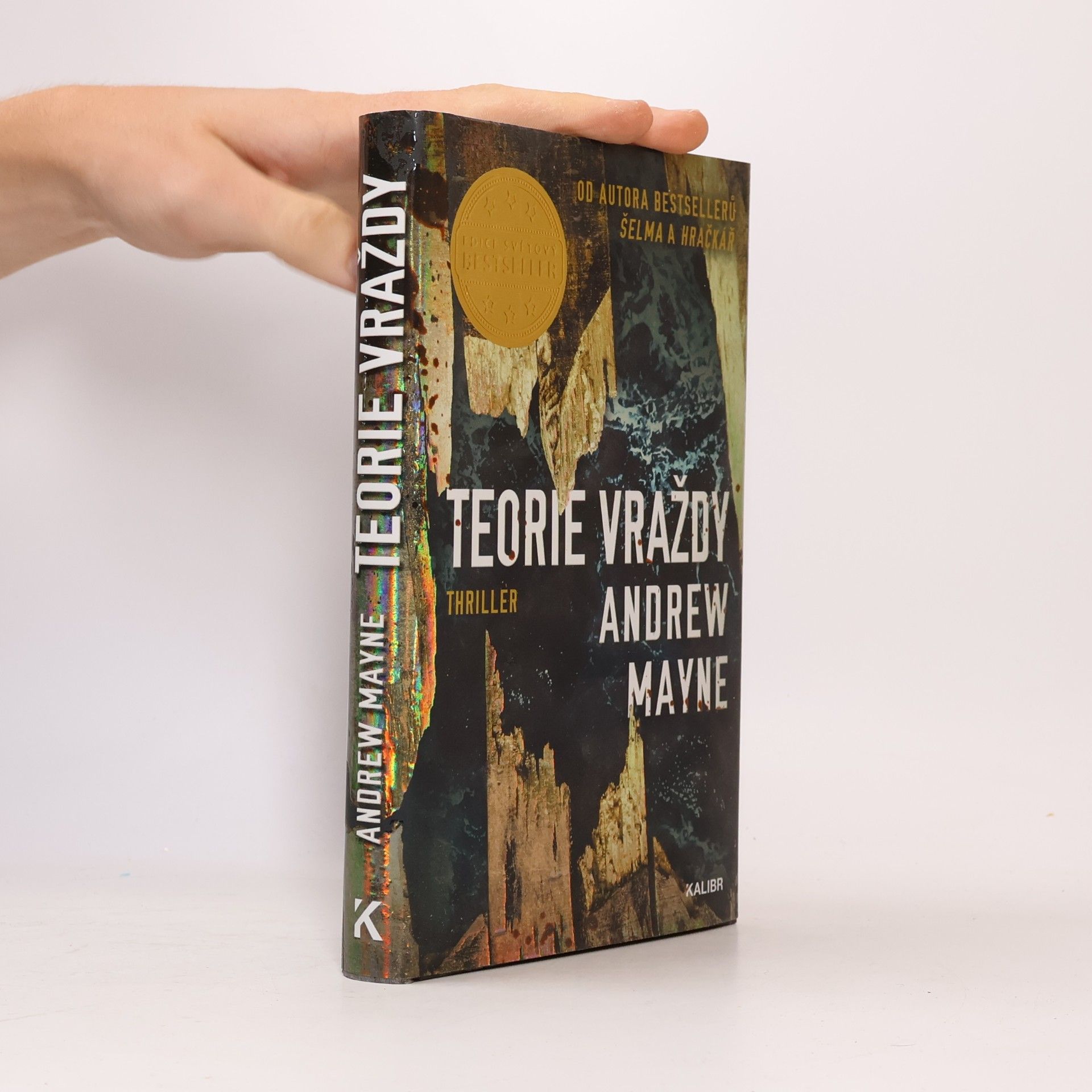 Andrew Mayne Teorie vraždy
