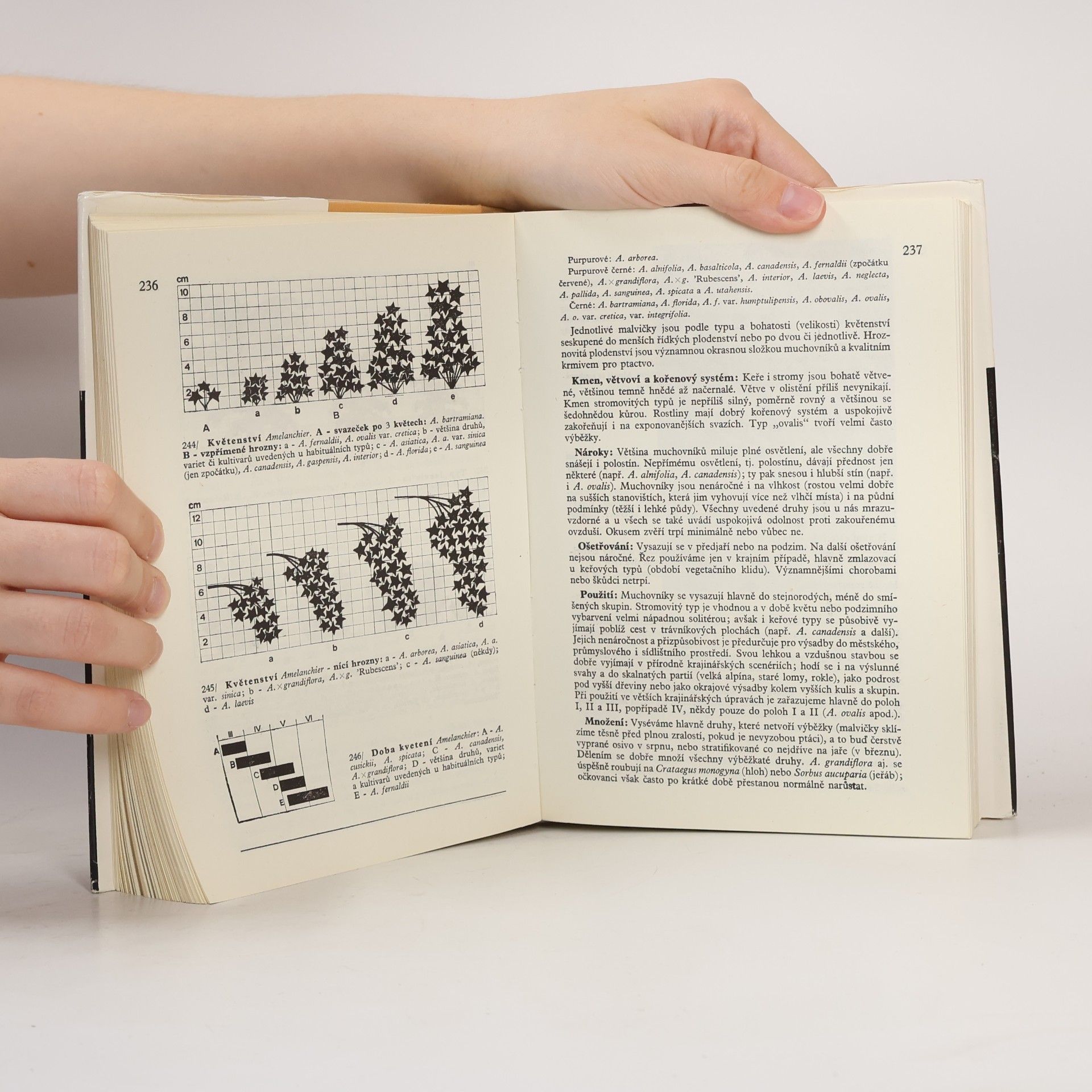Karel Hieke Praktická dendrologie 1