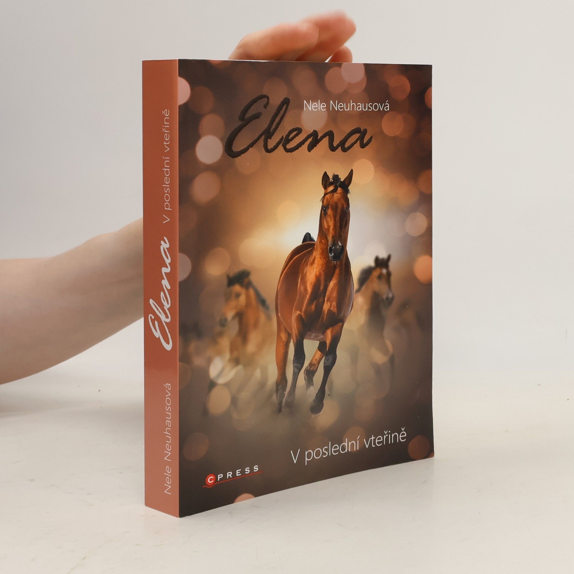 Nele Neuhaus Elena: V poslední vteřině