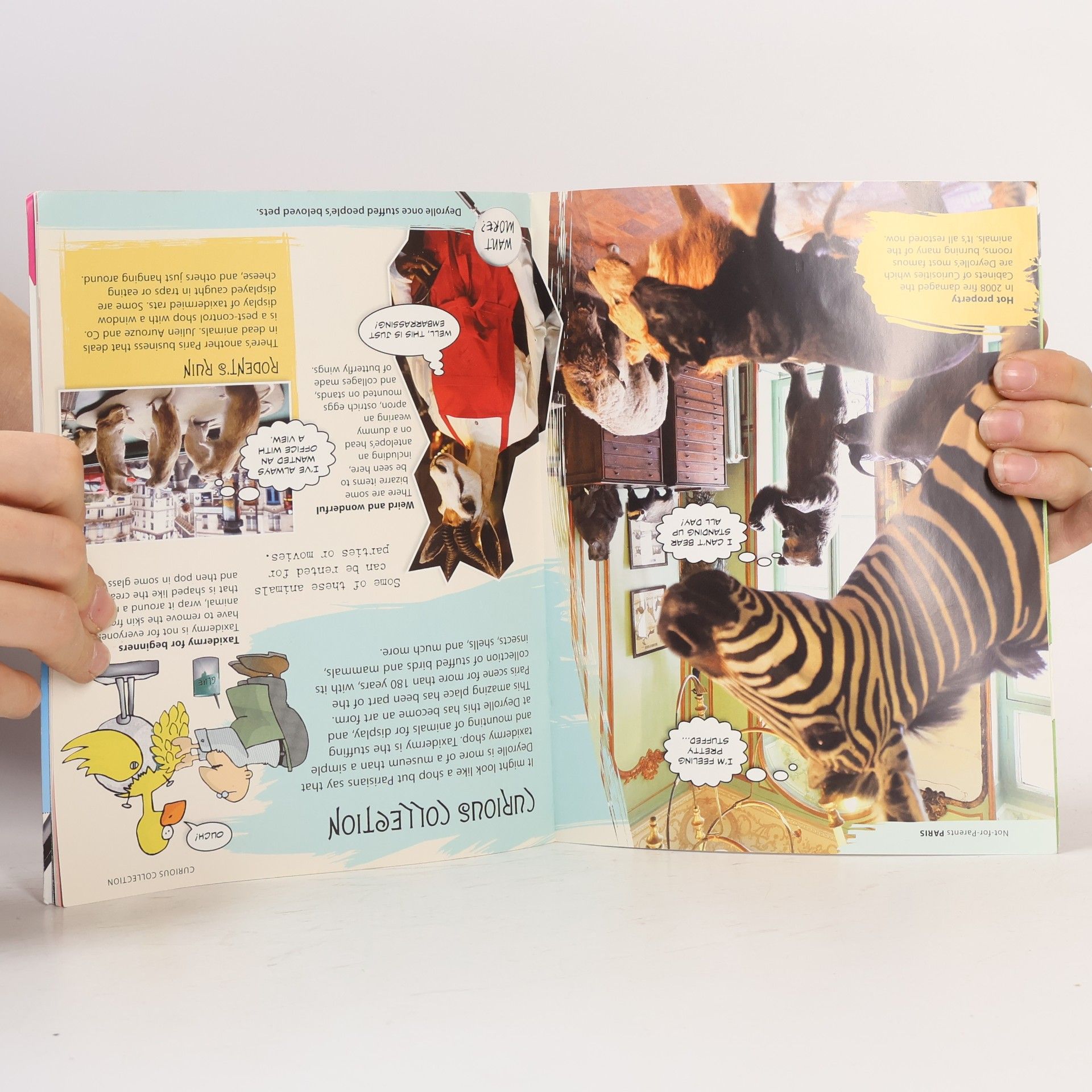 Various authors London: Everything You Ever Wanted to Know