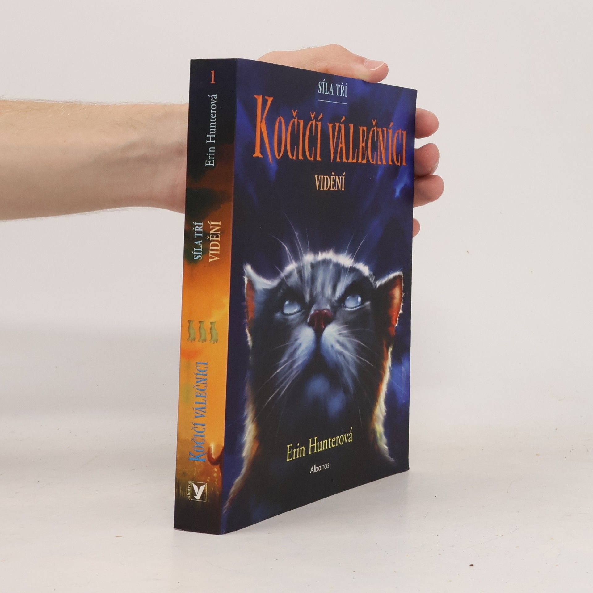 Erin Hunter Kočičí válečníci : síla tří. Vidění