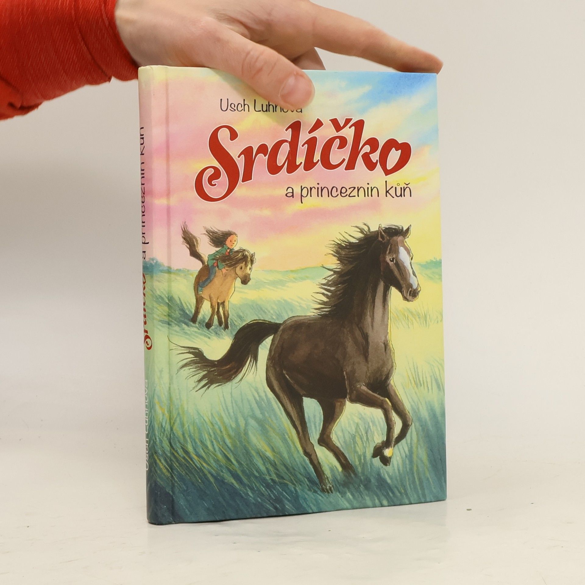 Franziska Harvey Srdíčko a princeznin kůň