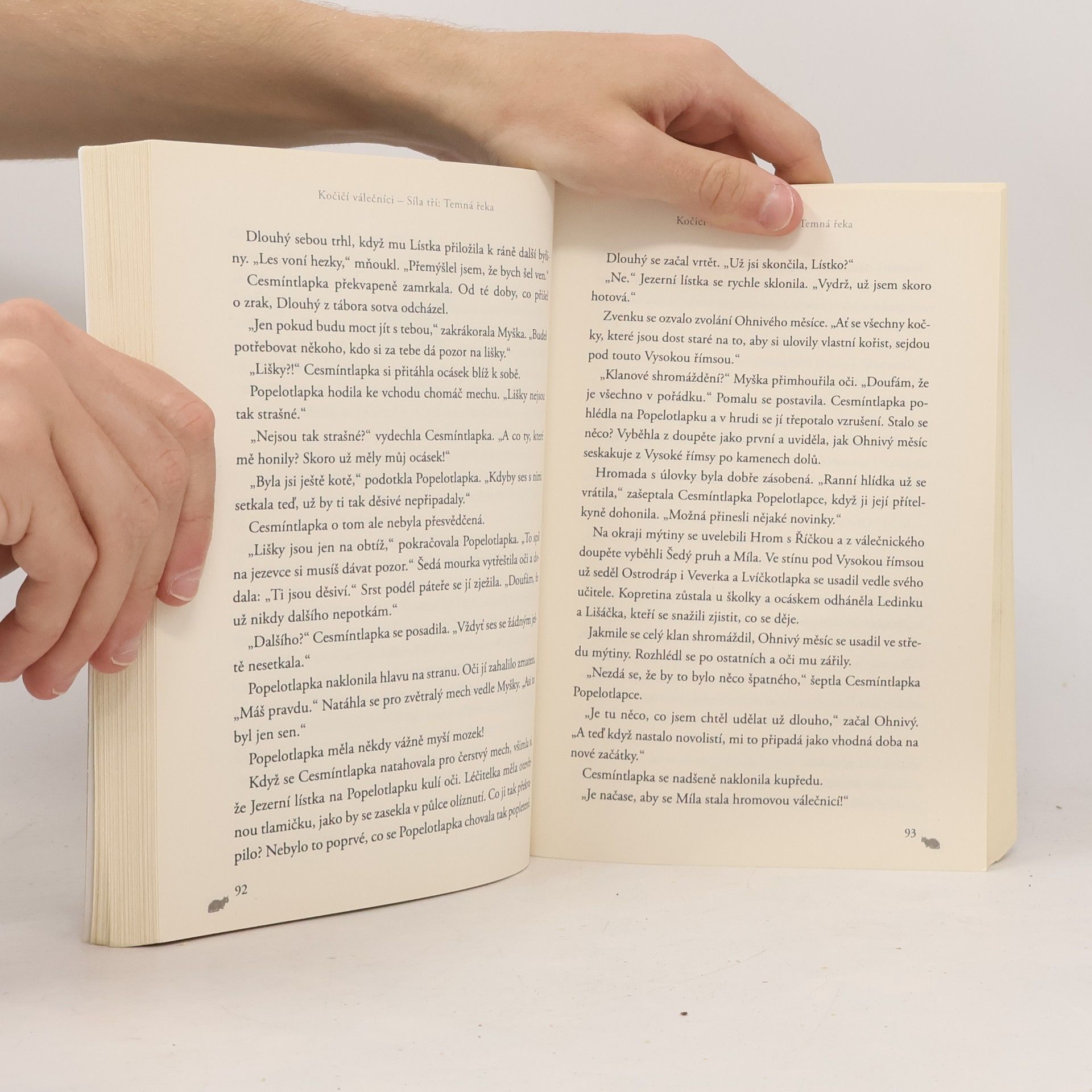 Erin Hunter Kočičí válečníci : síla tří. Temná řeka