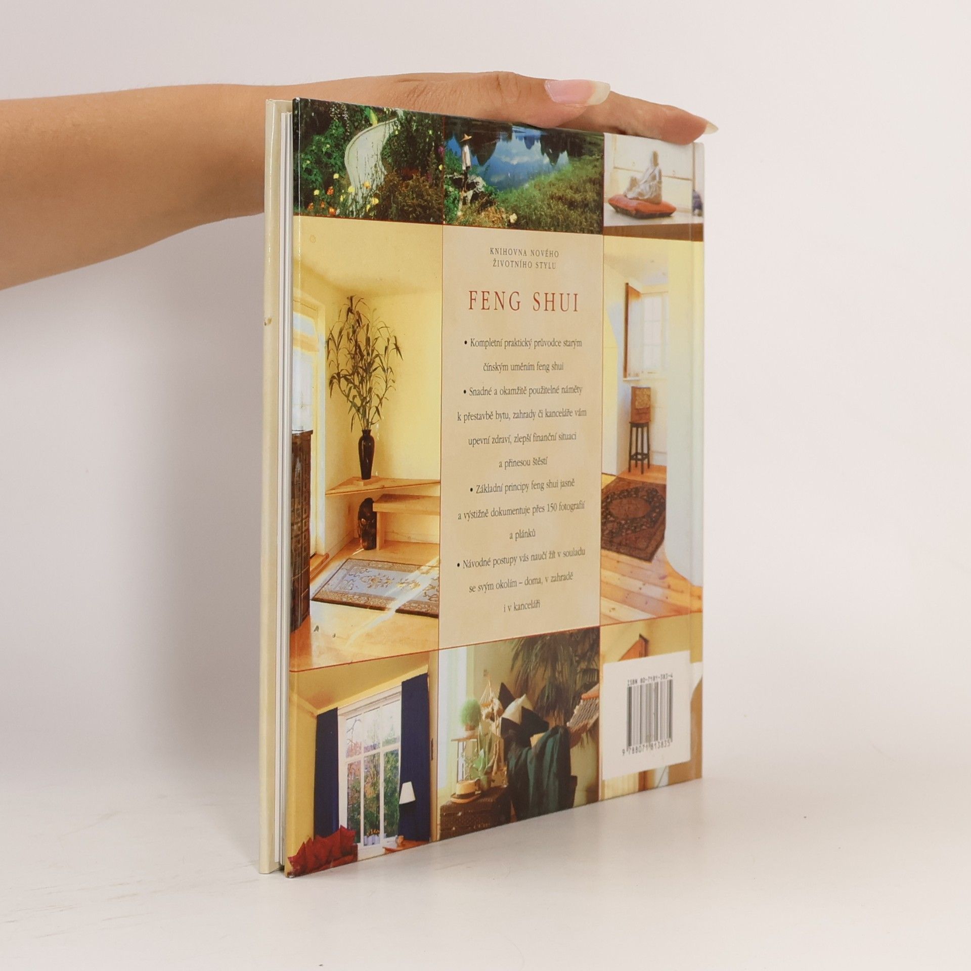 Richard Templar Feng shui