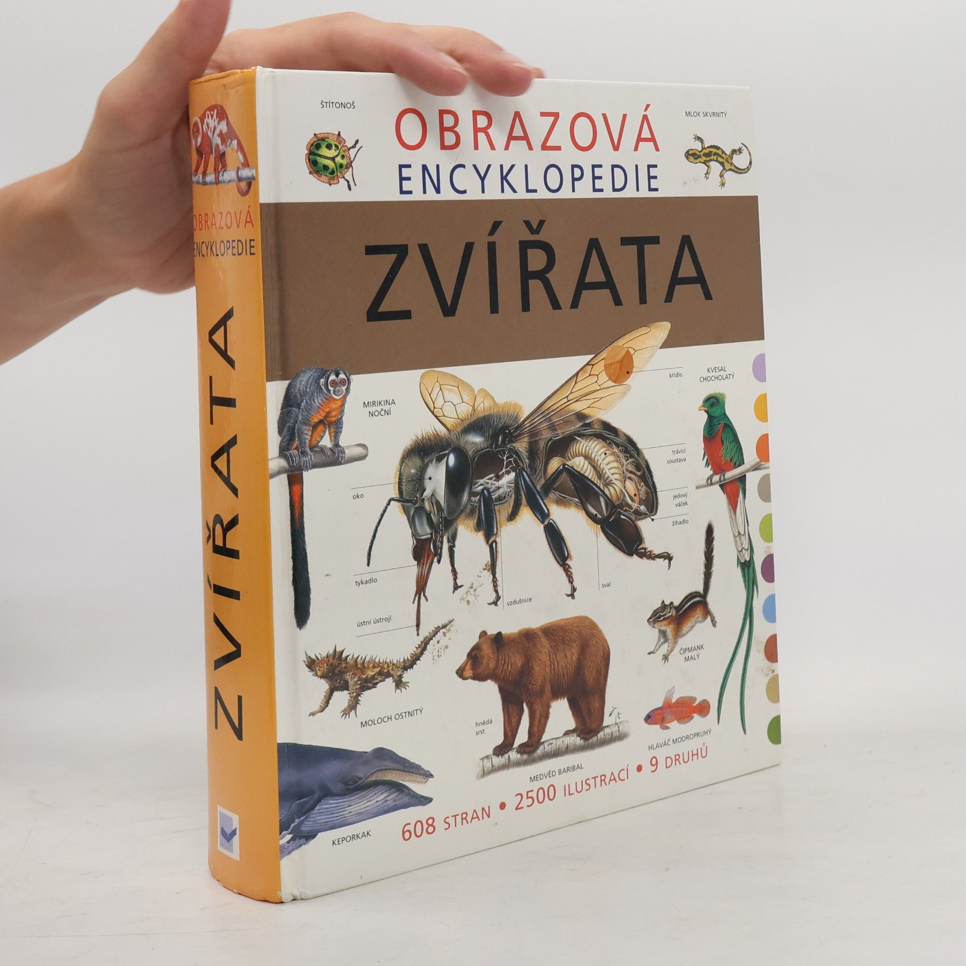 Michael Fokt Obrazová encyklopedie. Zvířata