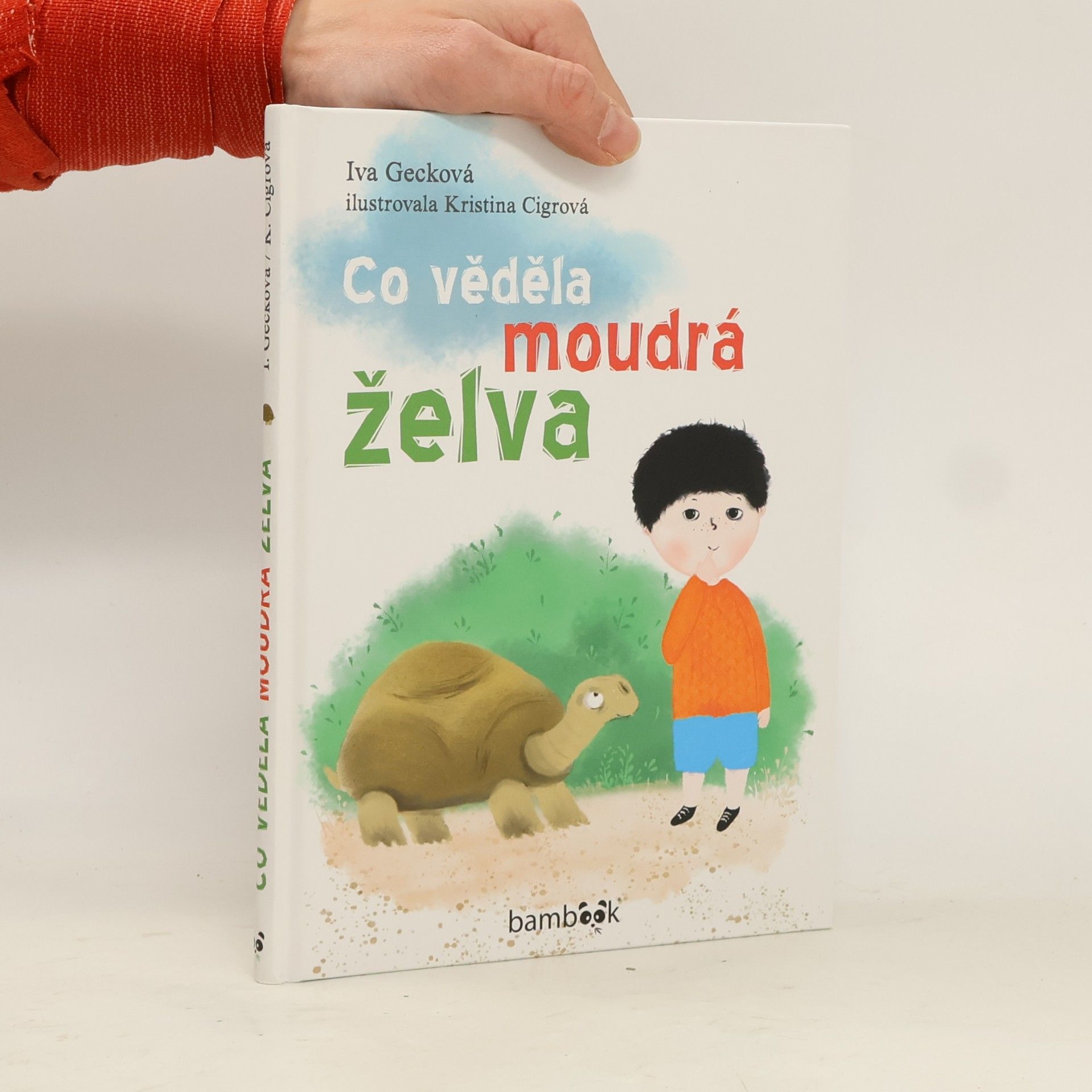 Gecková Iva Co věděla moudrá želva