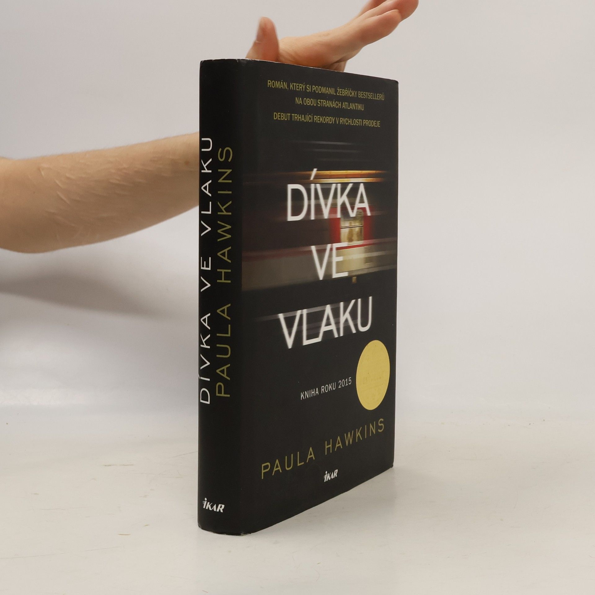 Dívka ve vlaku