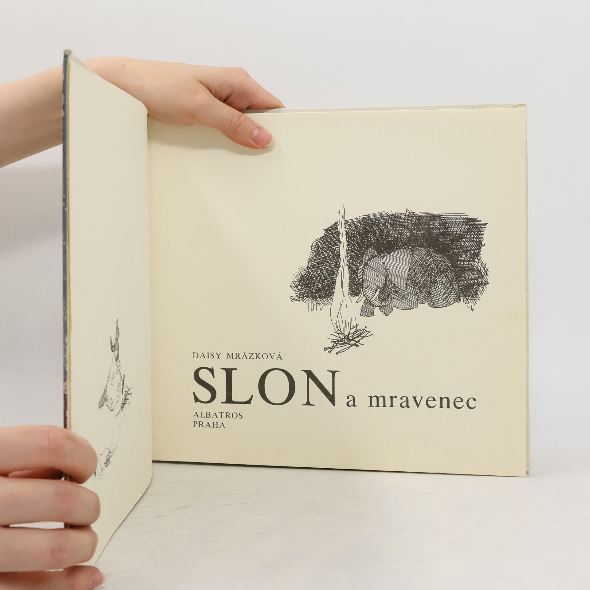 Daisy Mrázková Slon a mravenec