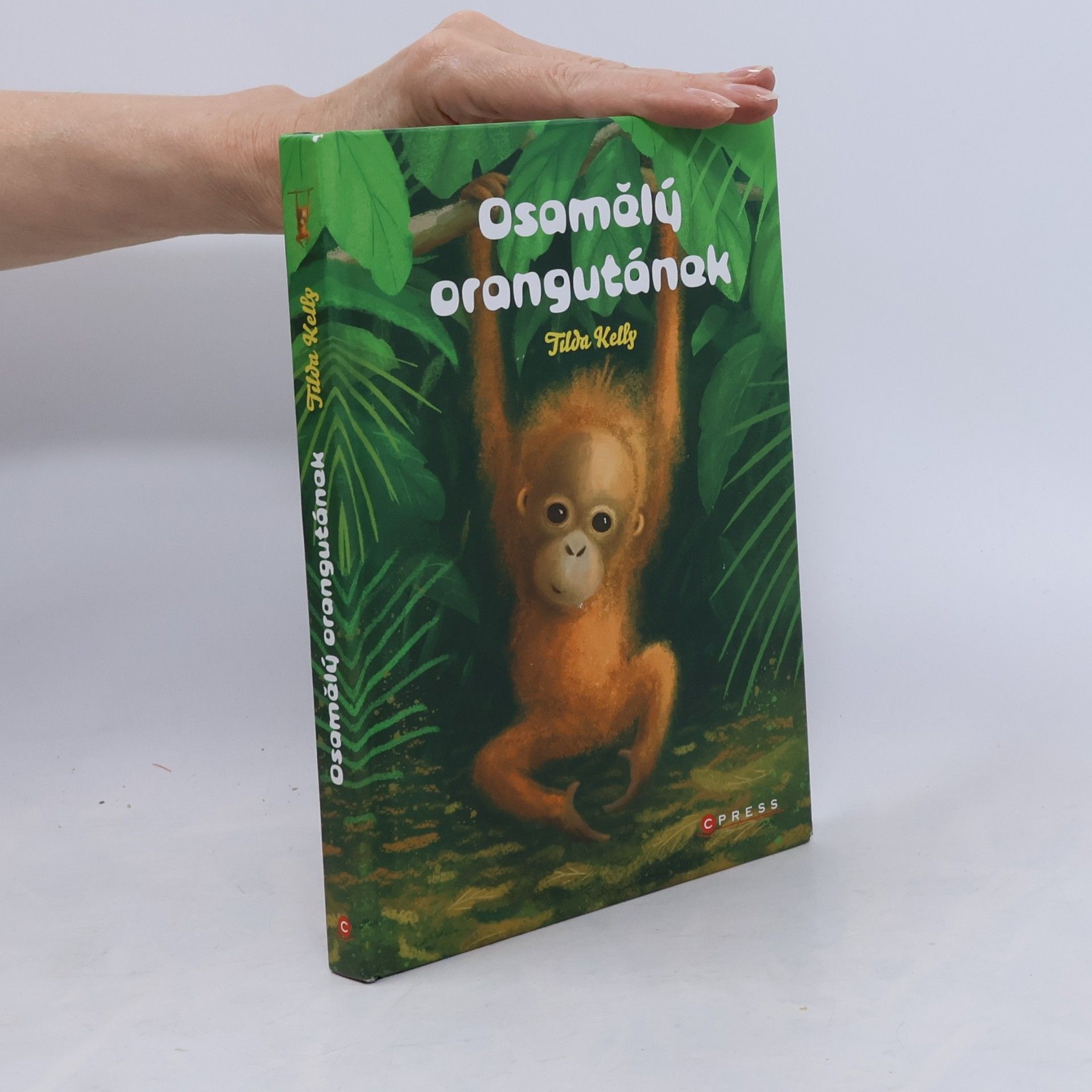 Osamělý orangutánek
