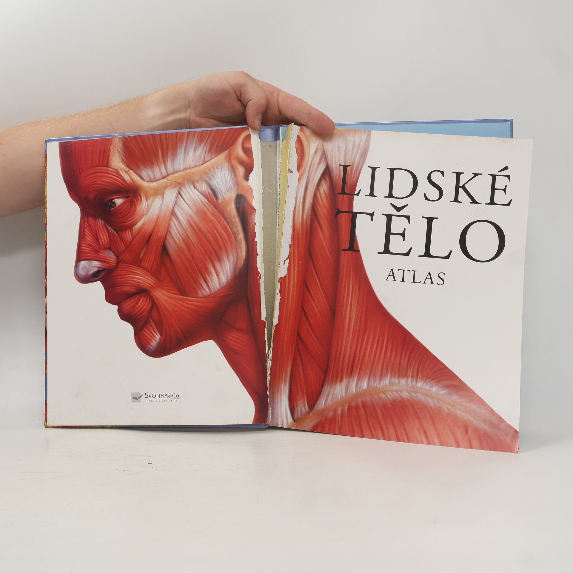 Auteurscollectief Lidské tělo : atlas