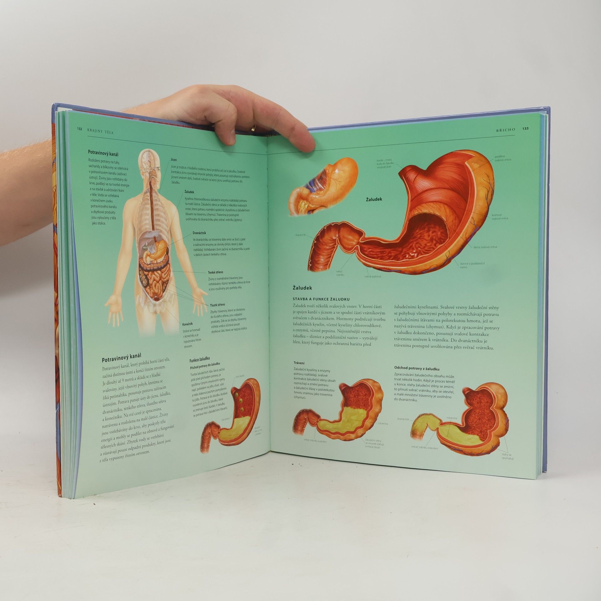 Auteurscollectief Lidské tělo : atlas