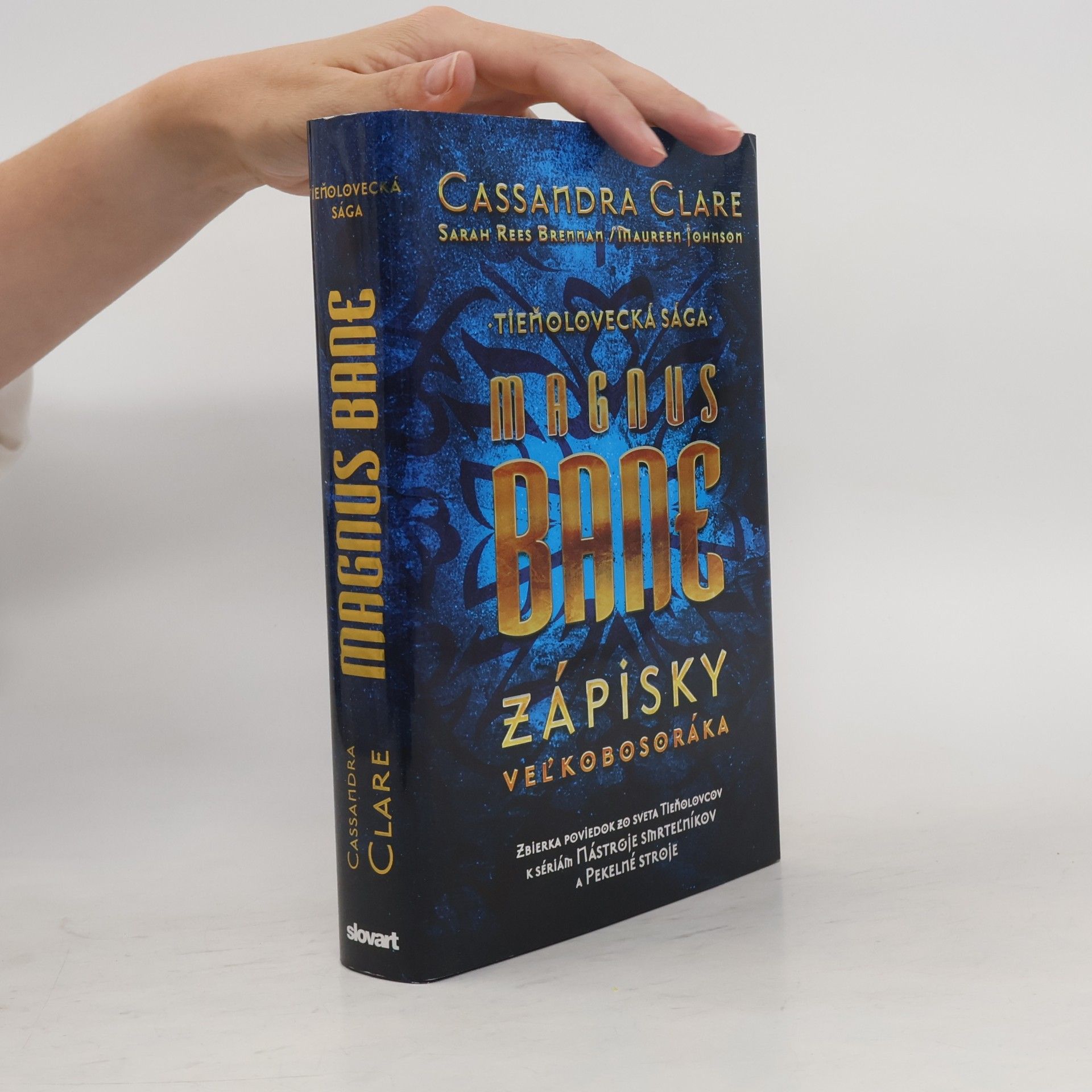 Cassandra Clare Magnus Bane - Zápisky veľkobosoráka