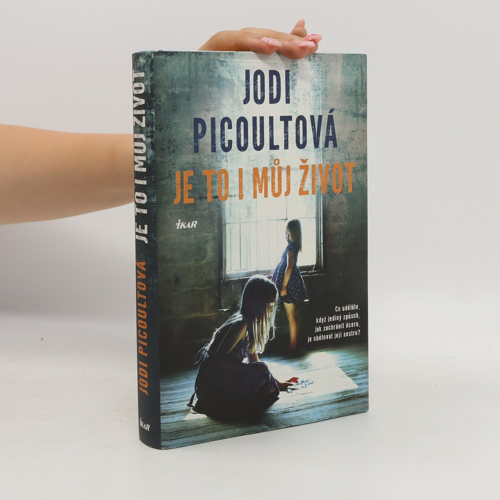 Jodi Picoult Je to i můj život