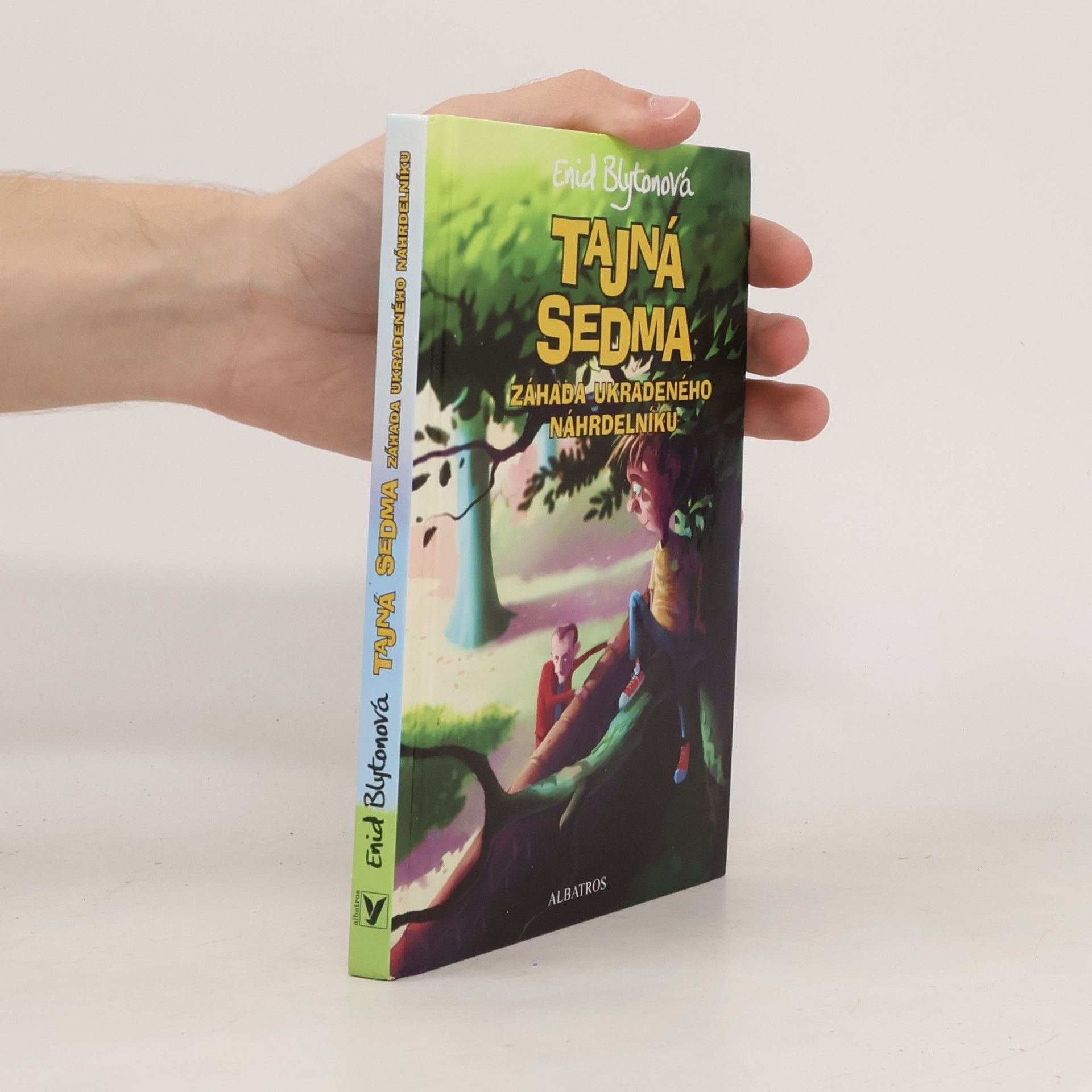 Enid Blyton Záhada ukradeného náhrdelníku