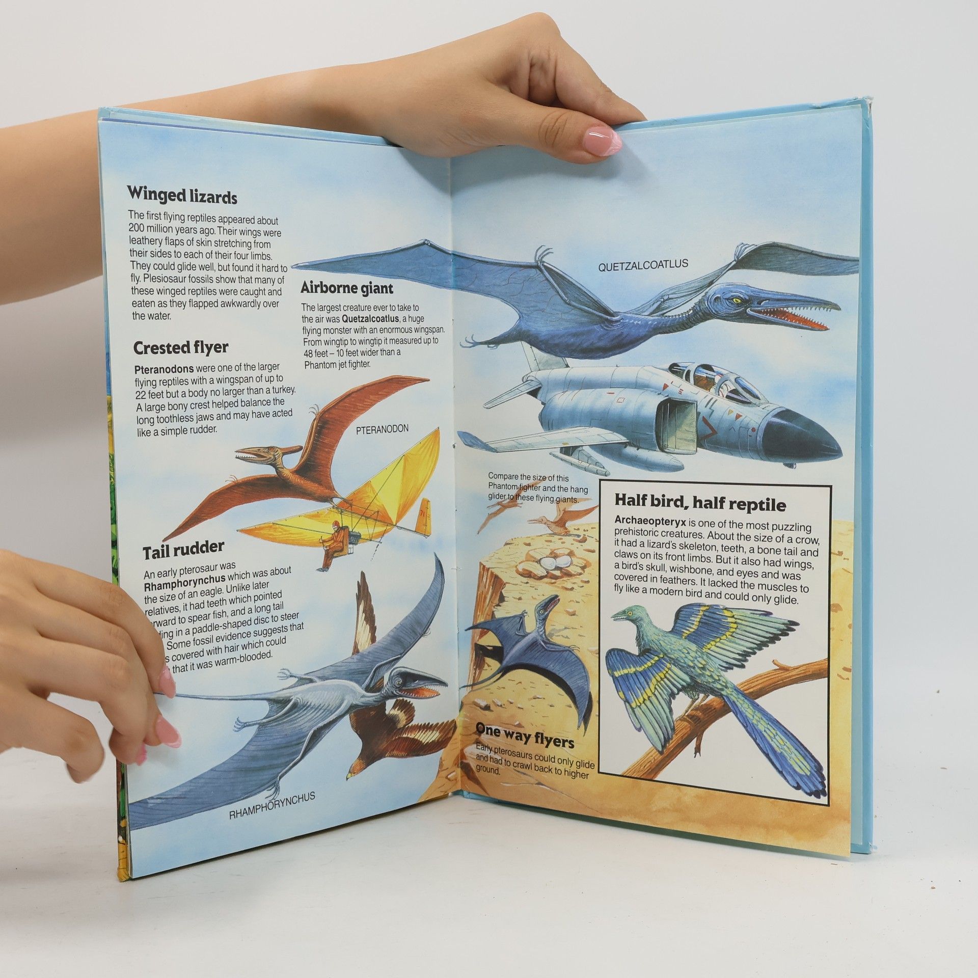 Stewart Cowley In Search of the Amazing Dinosaurs