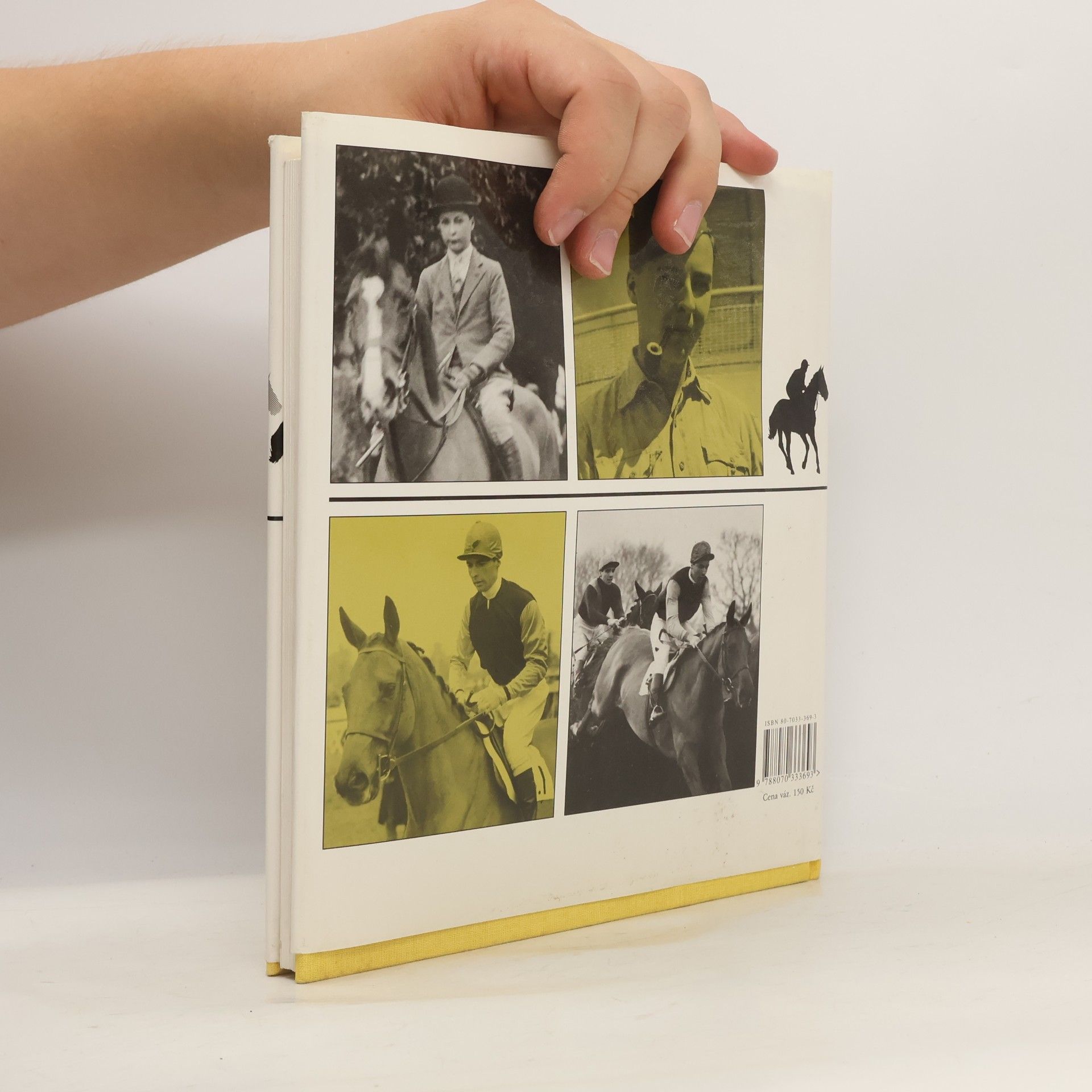 Bryony Fuller Dick Francis : žokej steeplechase