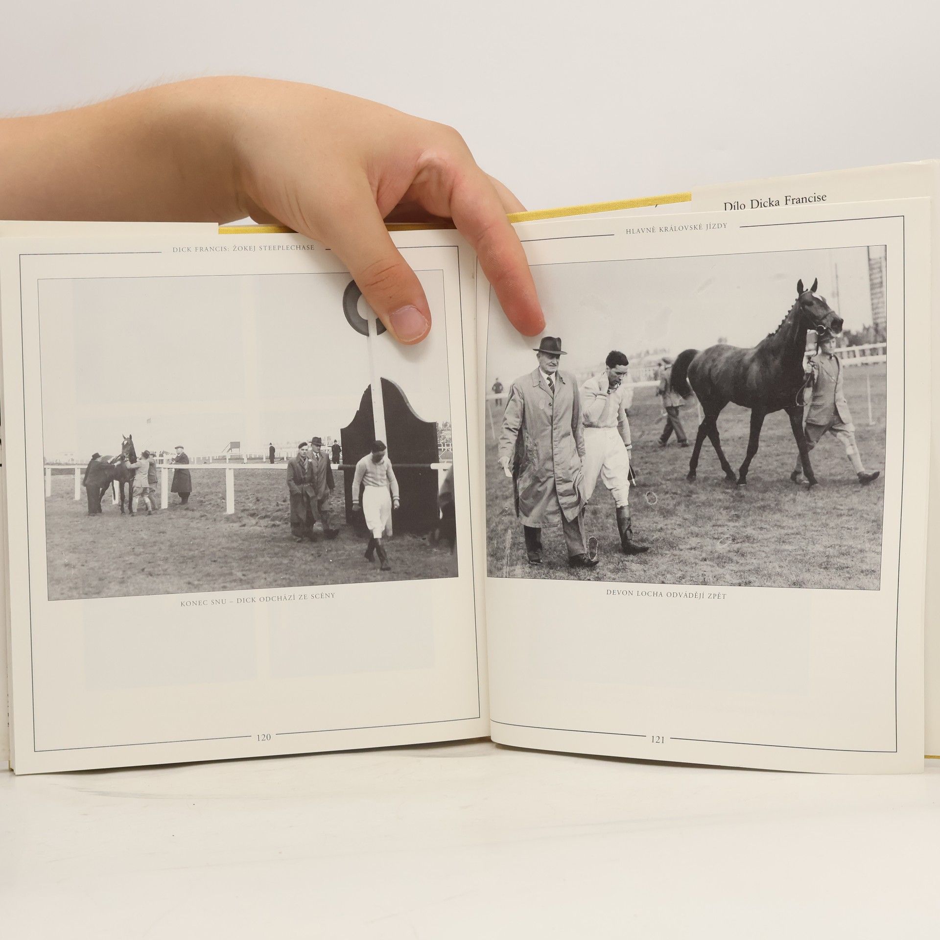 Bryony Fuller Dick Francis : žokej steeplechase