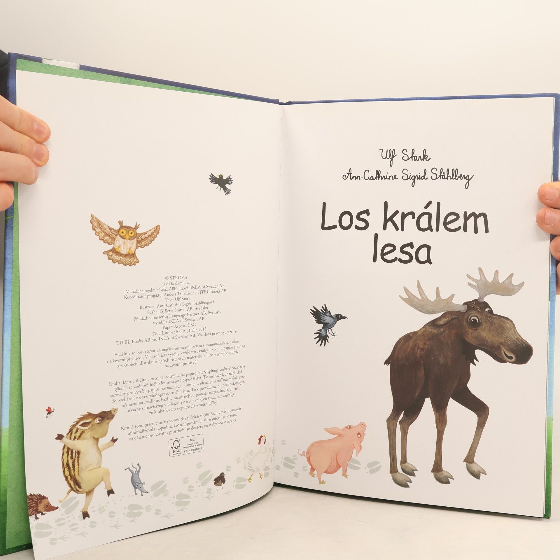 Ikea Los králem lesa