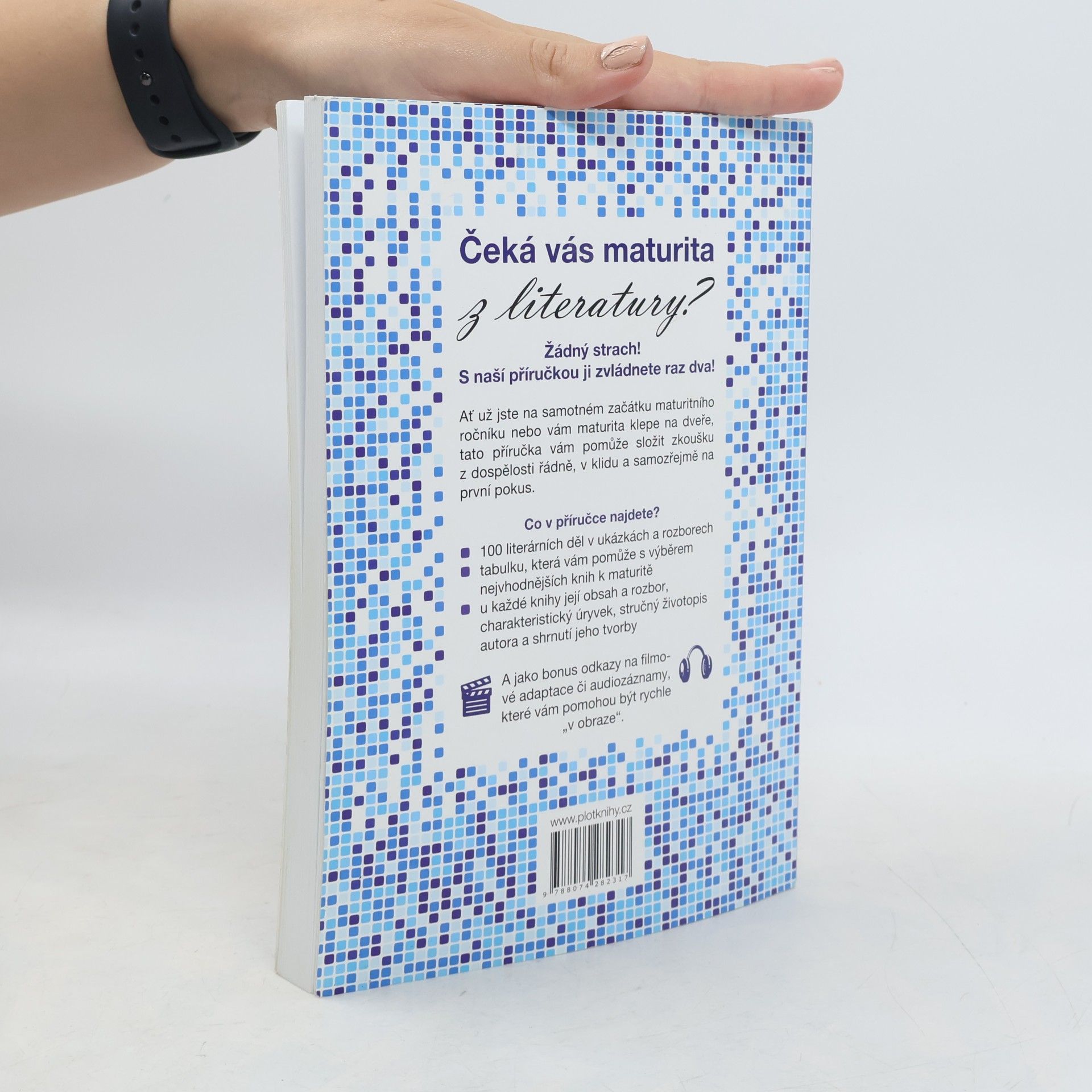 Petr Šrůta Nová maturita z literatury snadno a úspěšně