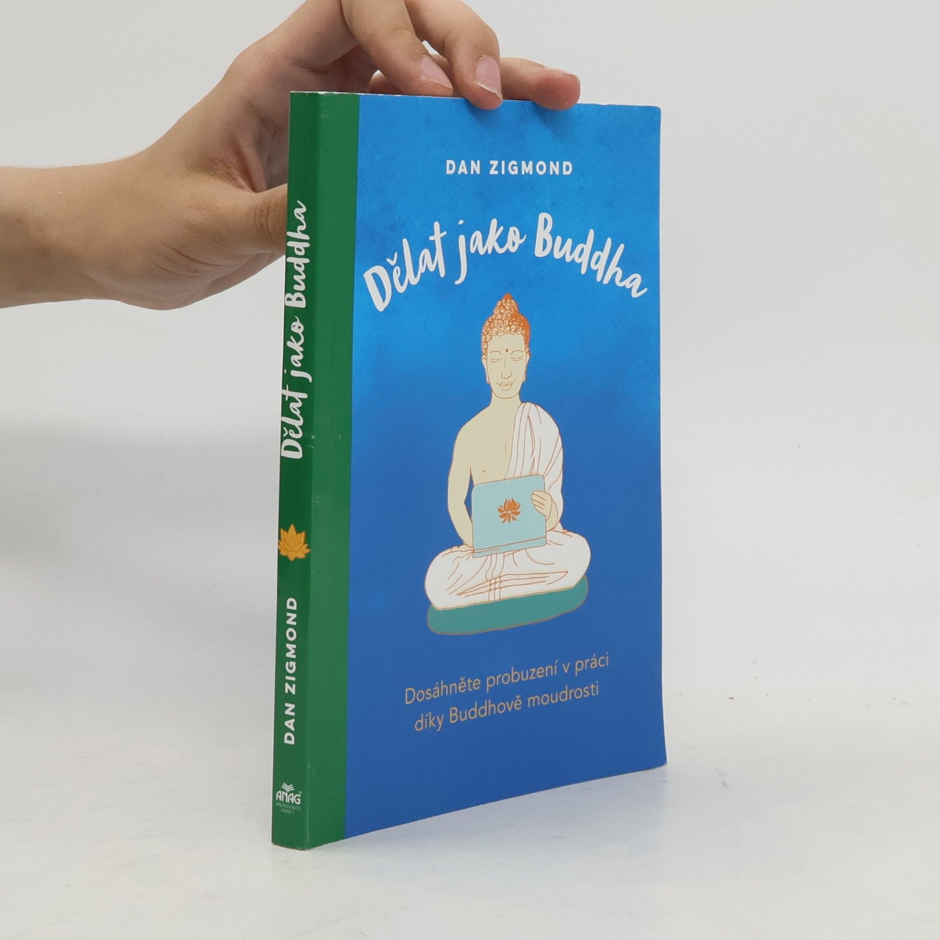 Dan Zigmond Dělat jako Buddha