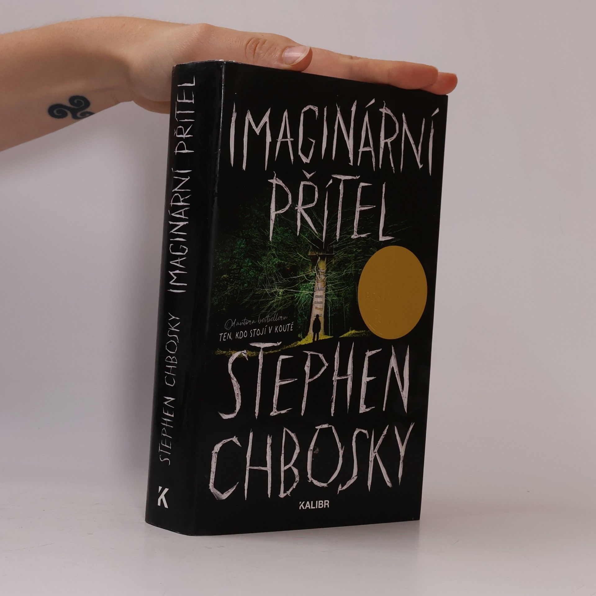 Stephen Chbosky Imaginární přítel