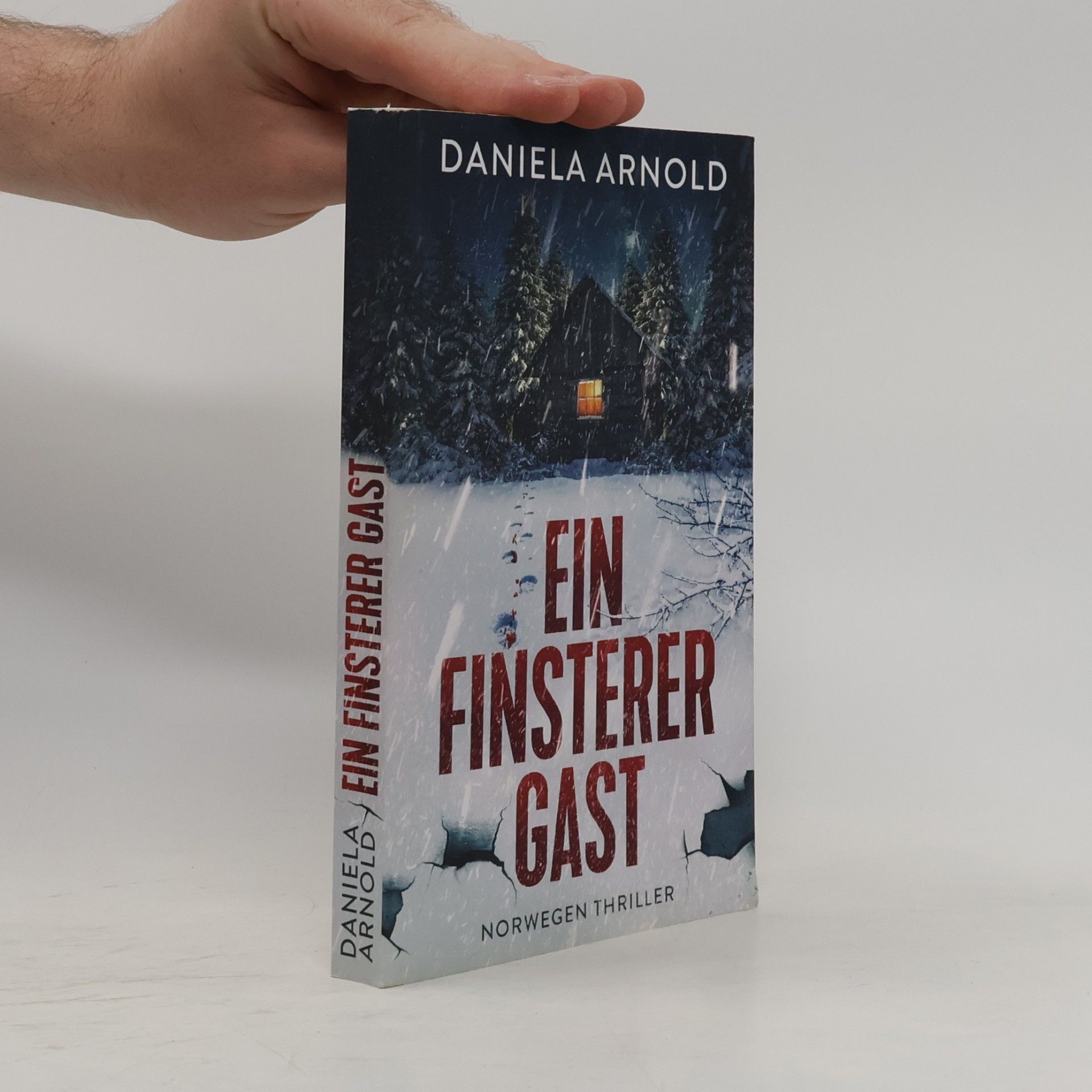 Daniela Arnold Ein finsterer Gast