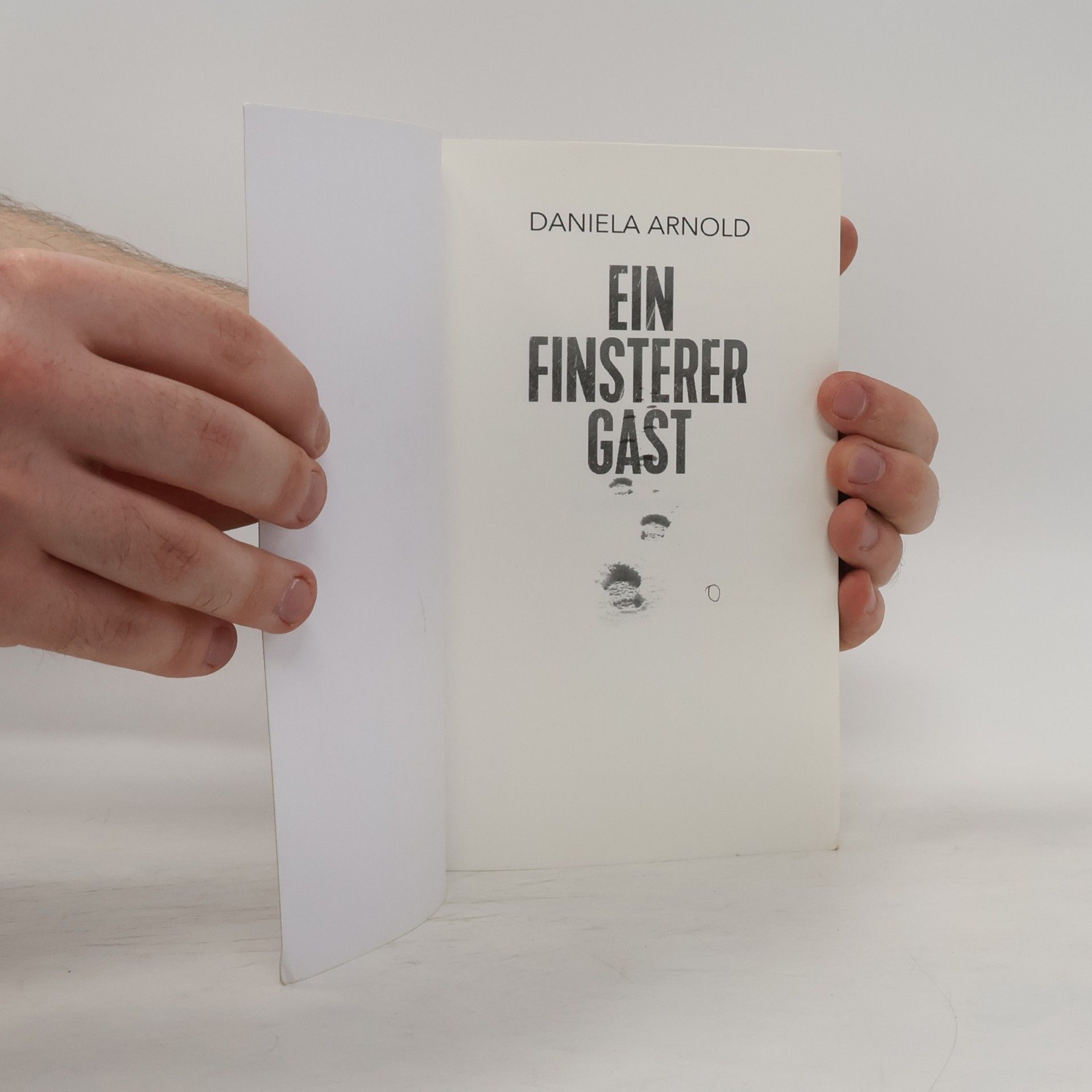 Daniela Arnold Ein finsterer Gast