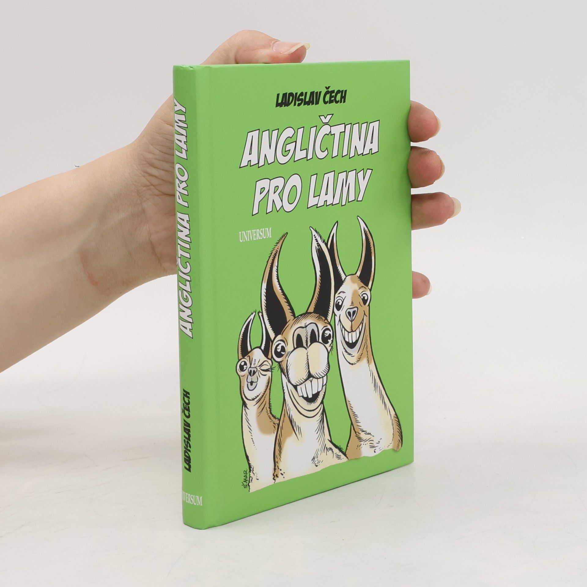 Ladislav Čech Angličtina pro lamy