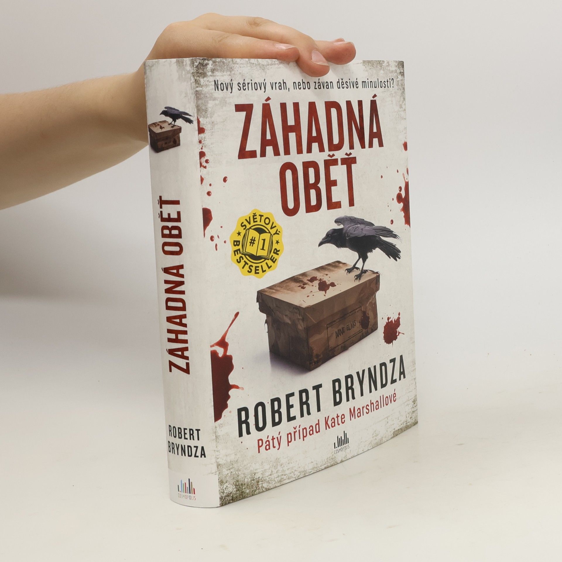 Robert Bryndza Záhadná oběť