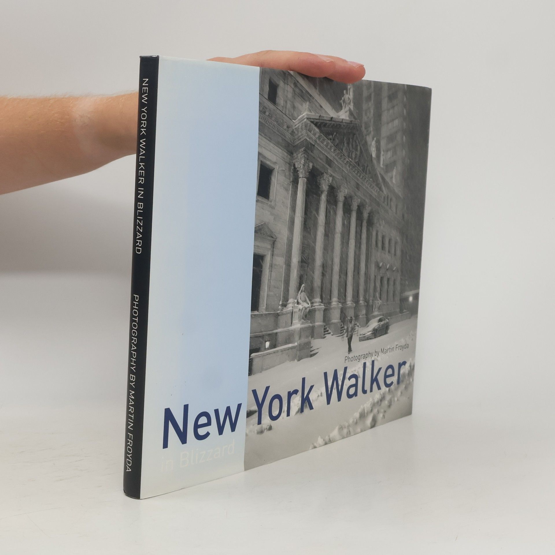 Martin Froyda New York Walker