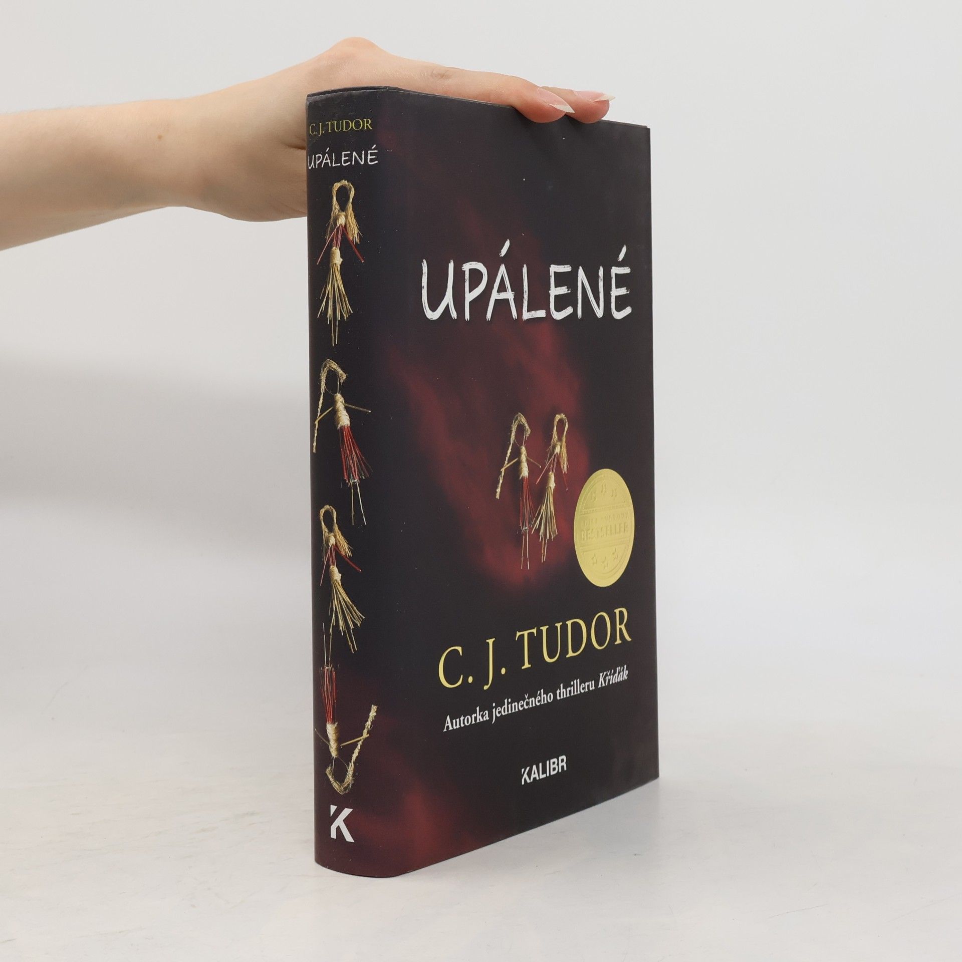 C.J. Tudor Upálené