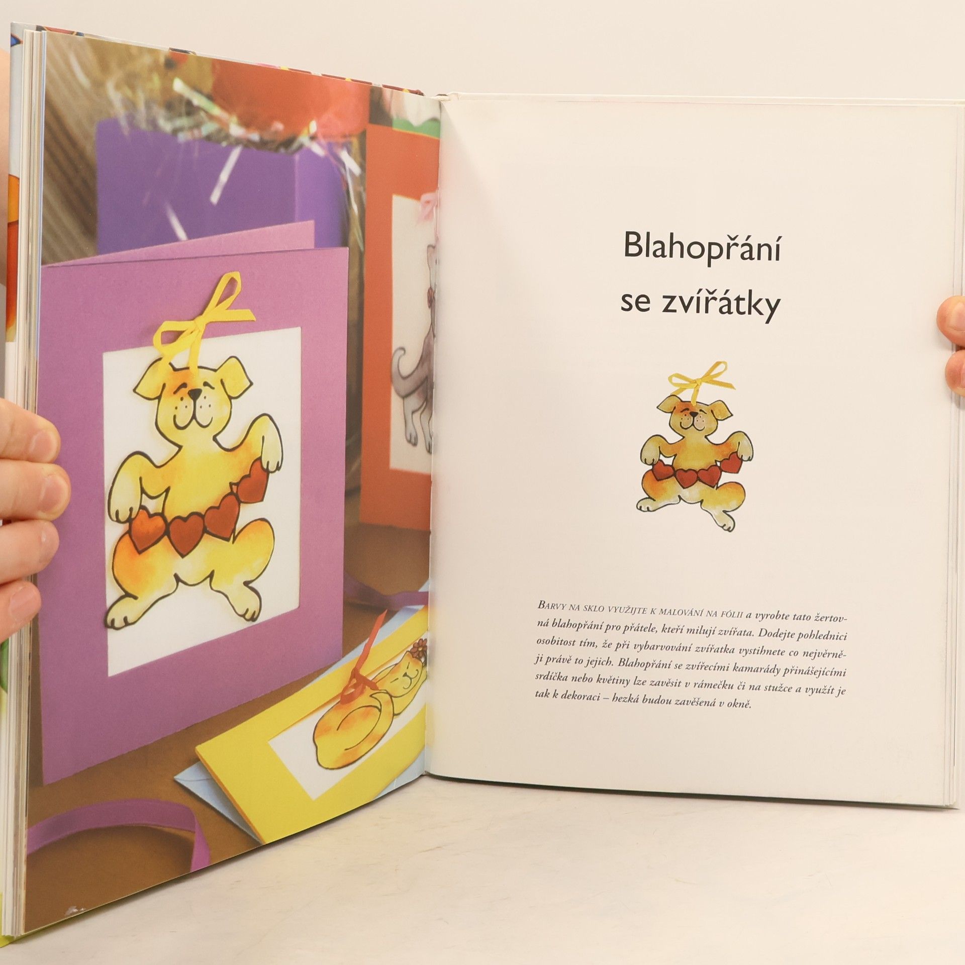 Cheryl Owen Malování na sklo pro šikovné ruce