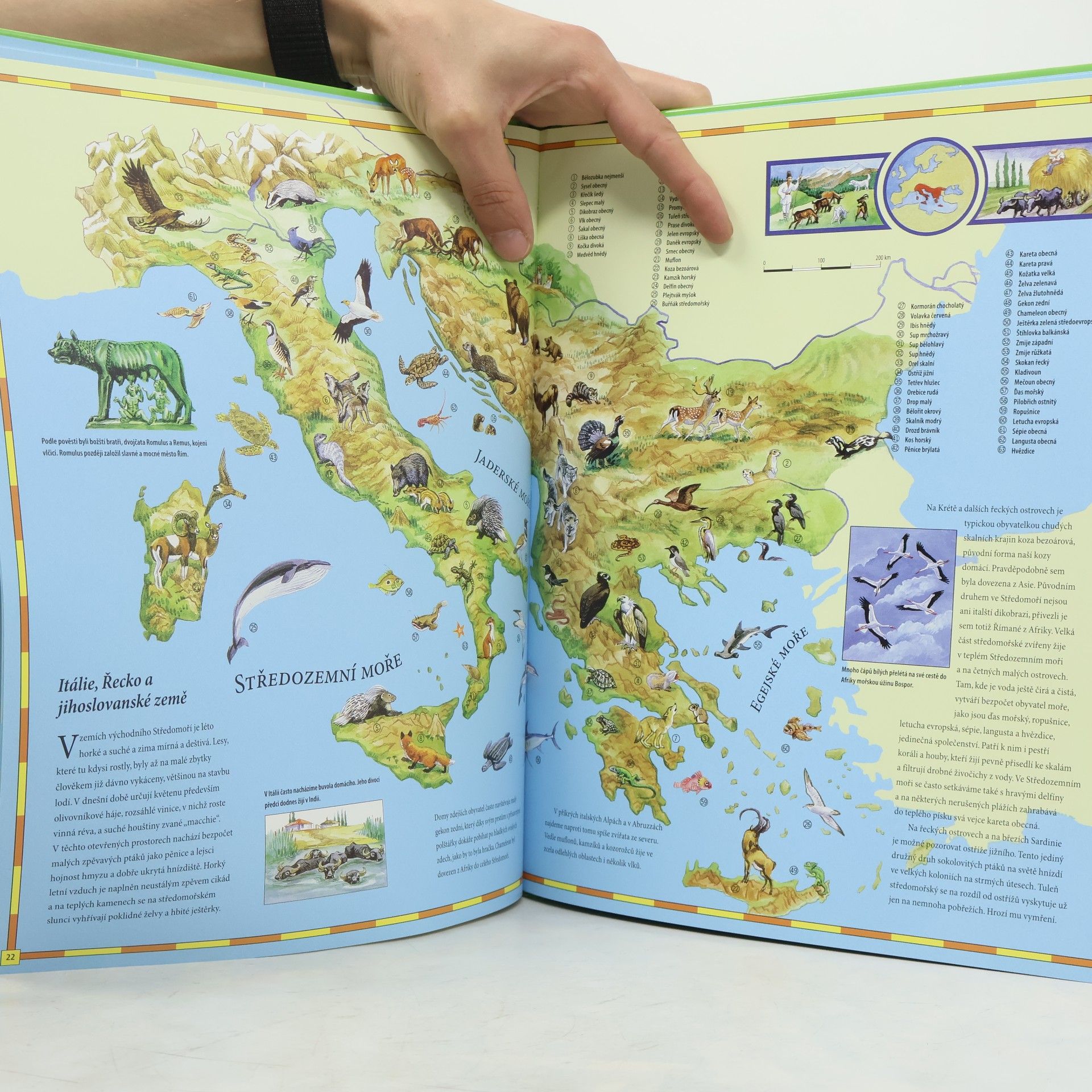 Kolektiv autorů Velký dětský atlas zvířat