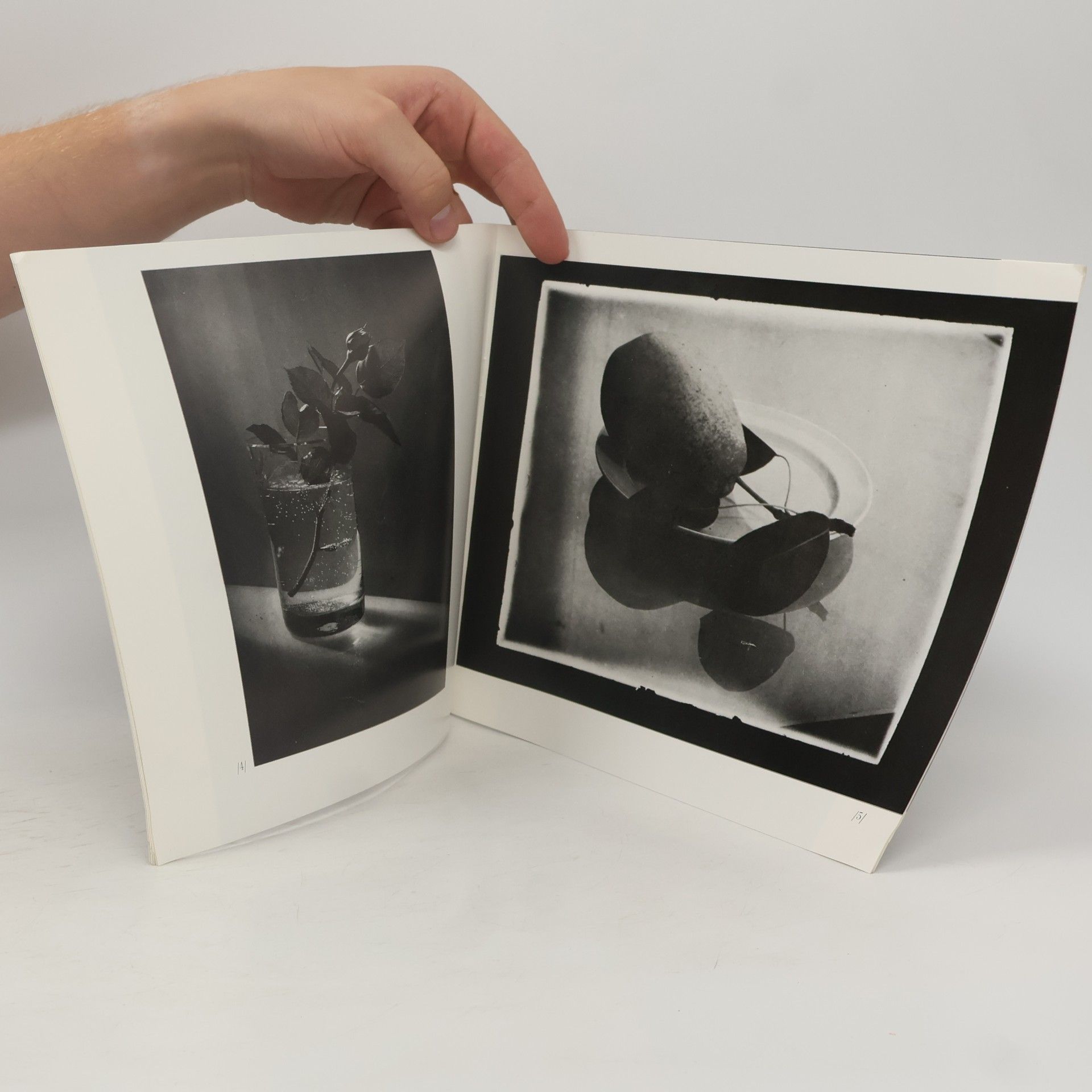 Josef Sudek Cykly fotografií 1