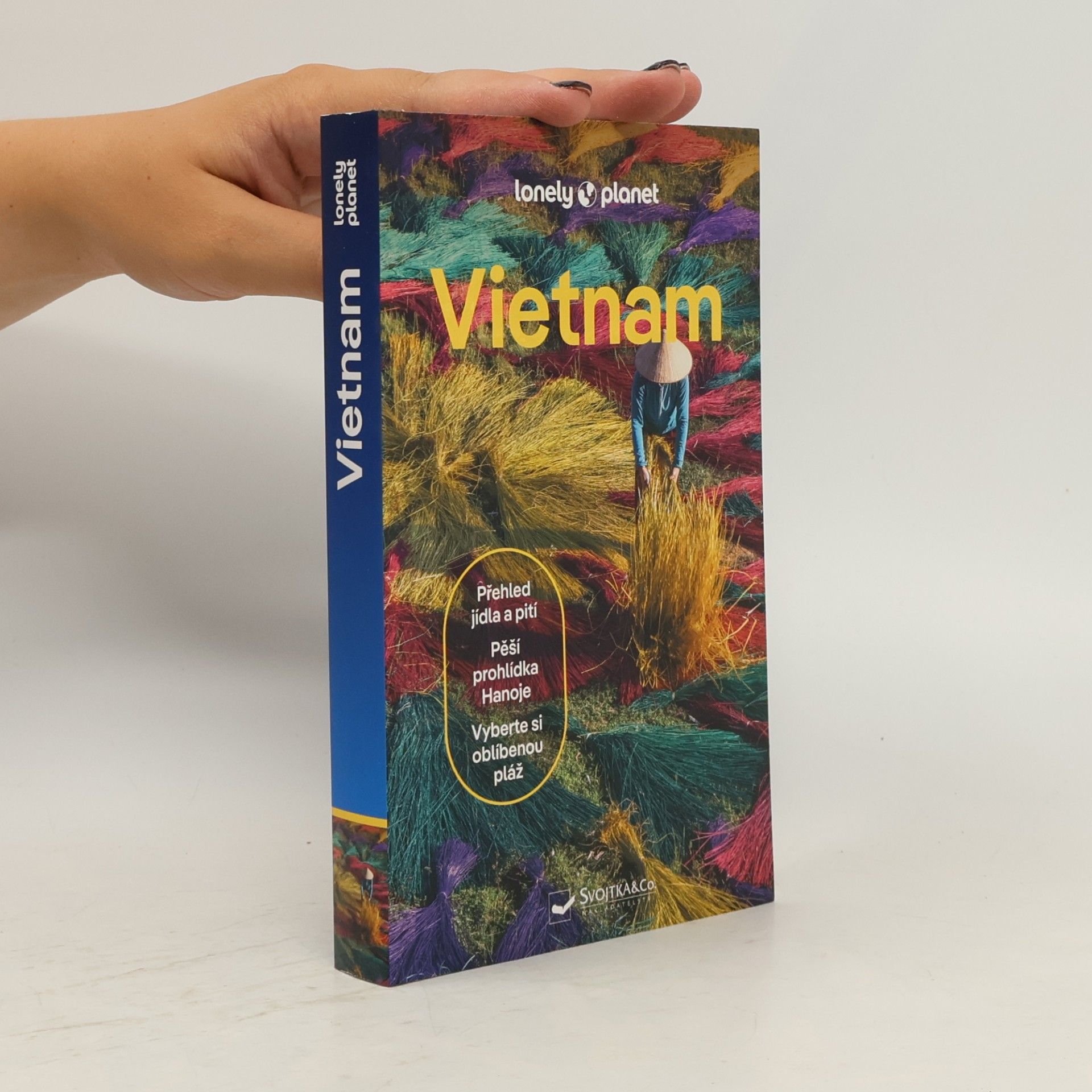 Kolektiv autorů Vietnam