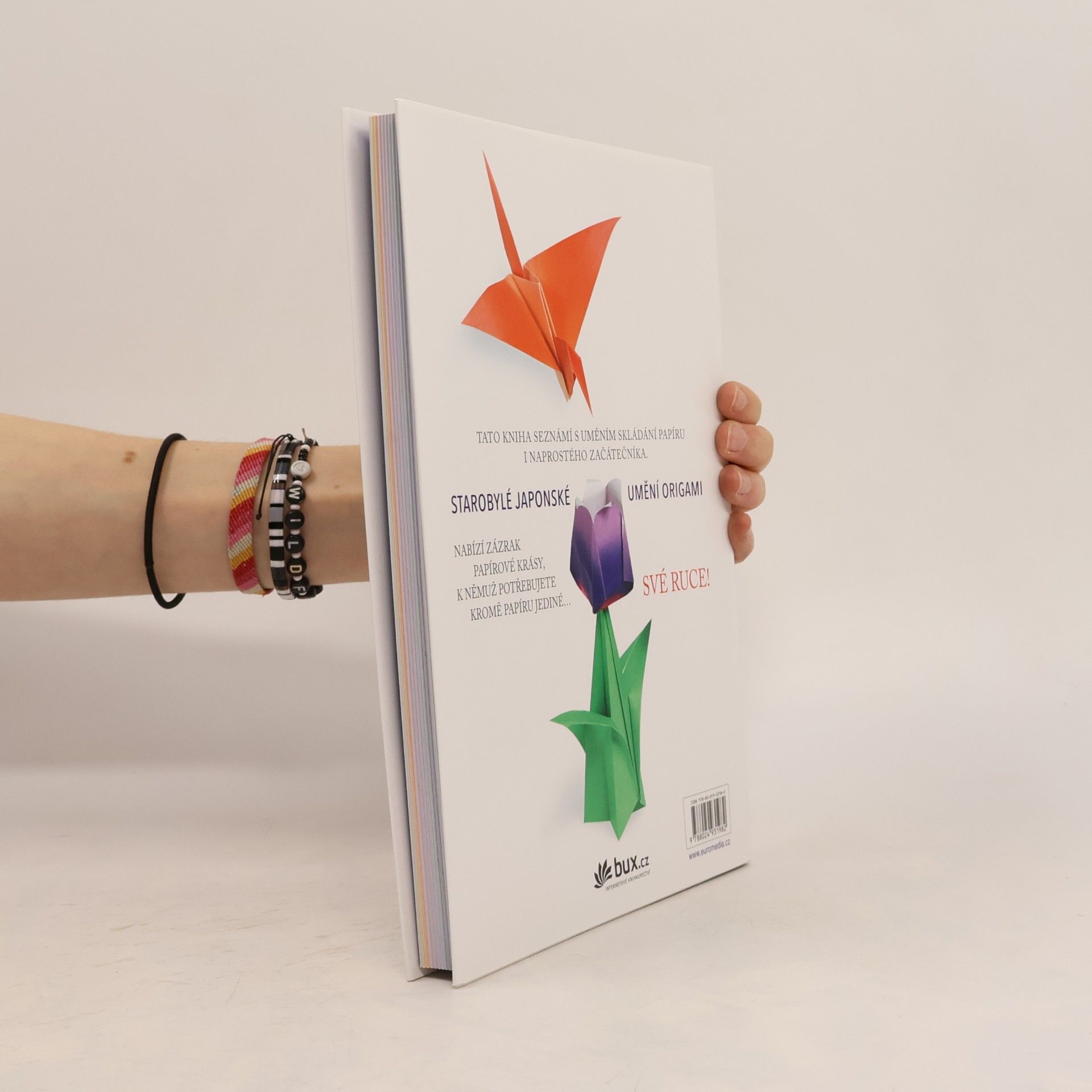 Francesco Decio Učíme se origami : jak se stát origamistou
