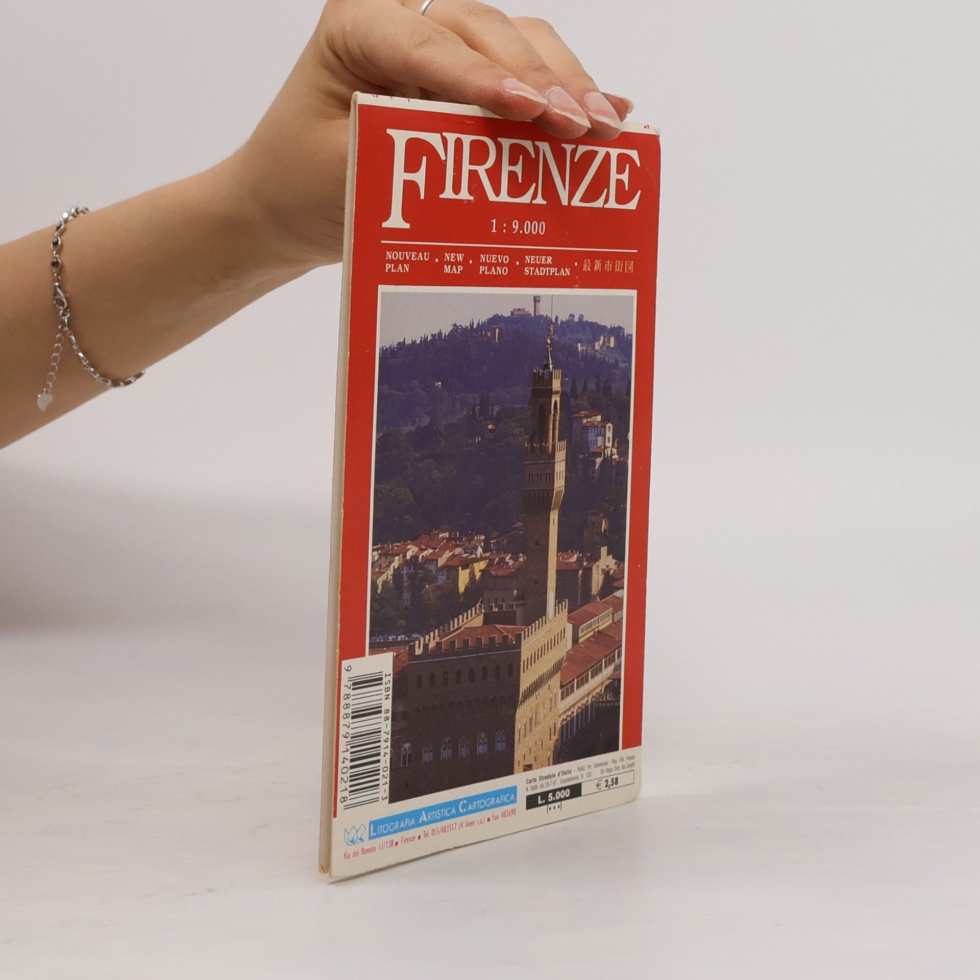 Litografia Artistica Cartografica Florence City Map (Firenze)