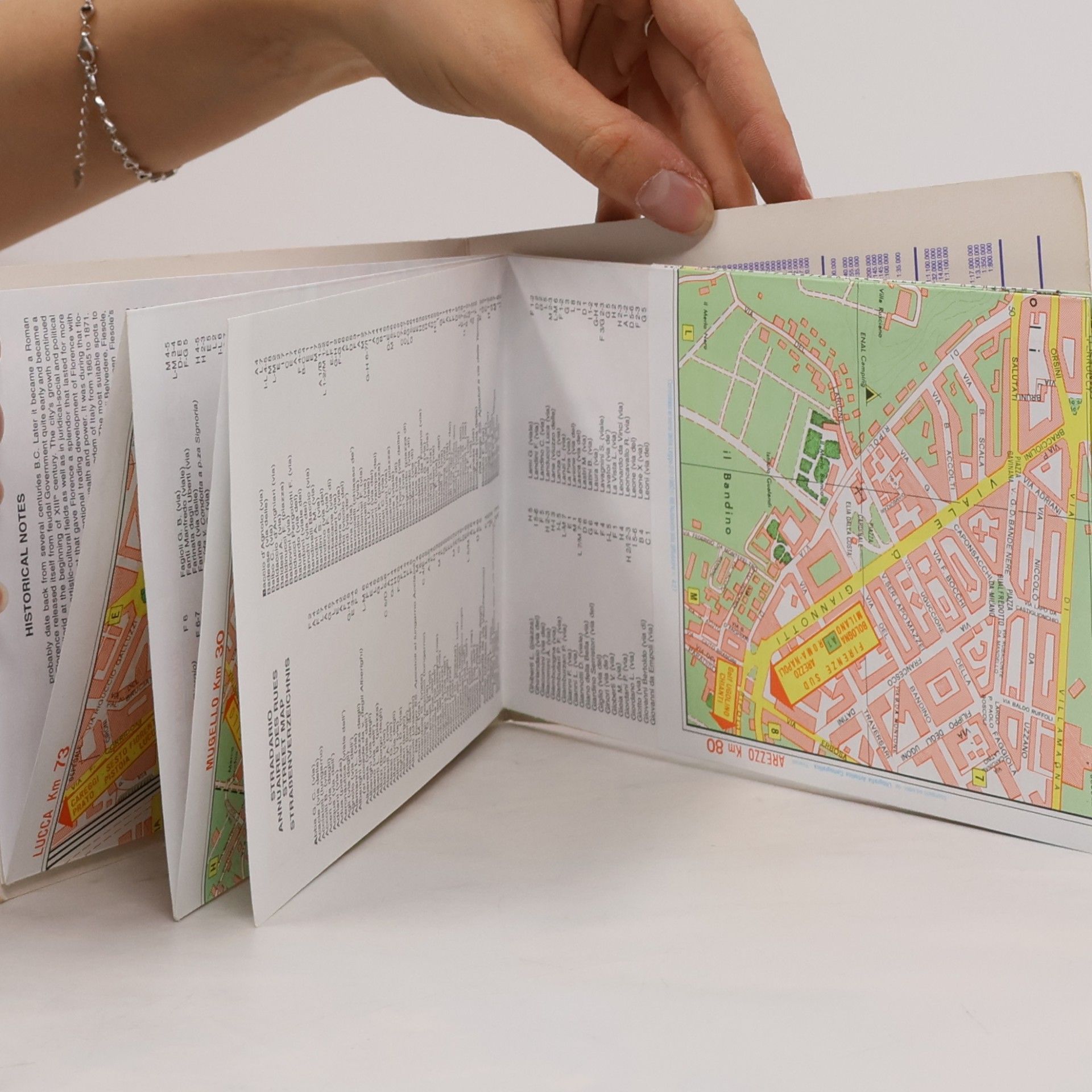 Litografia Artistica Cartografica Florence City Map (Firenze)