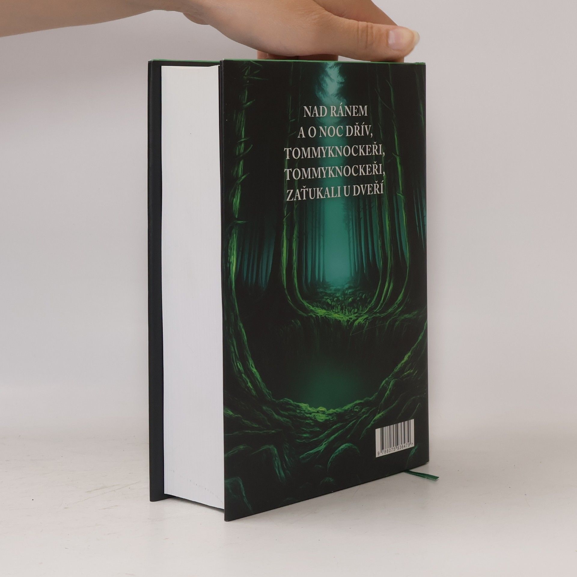 Stephen King Tommyknockeři