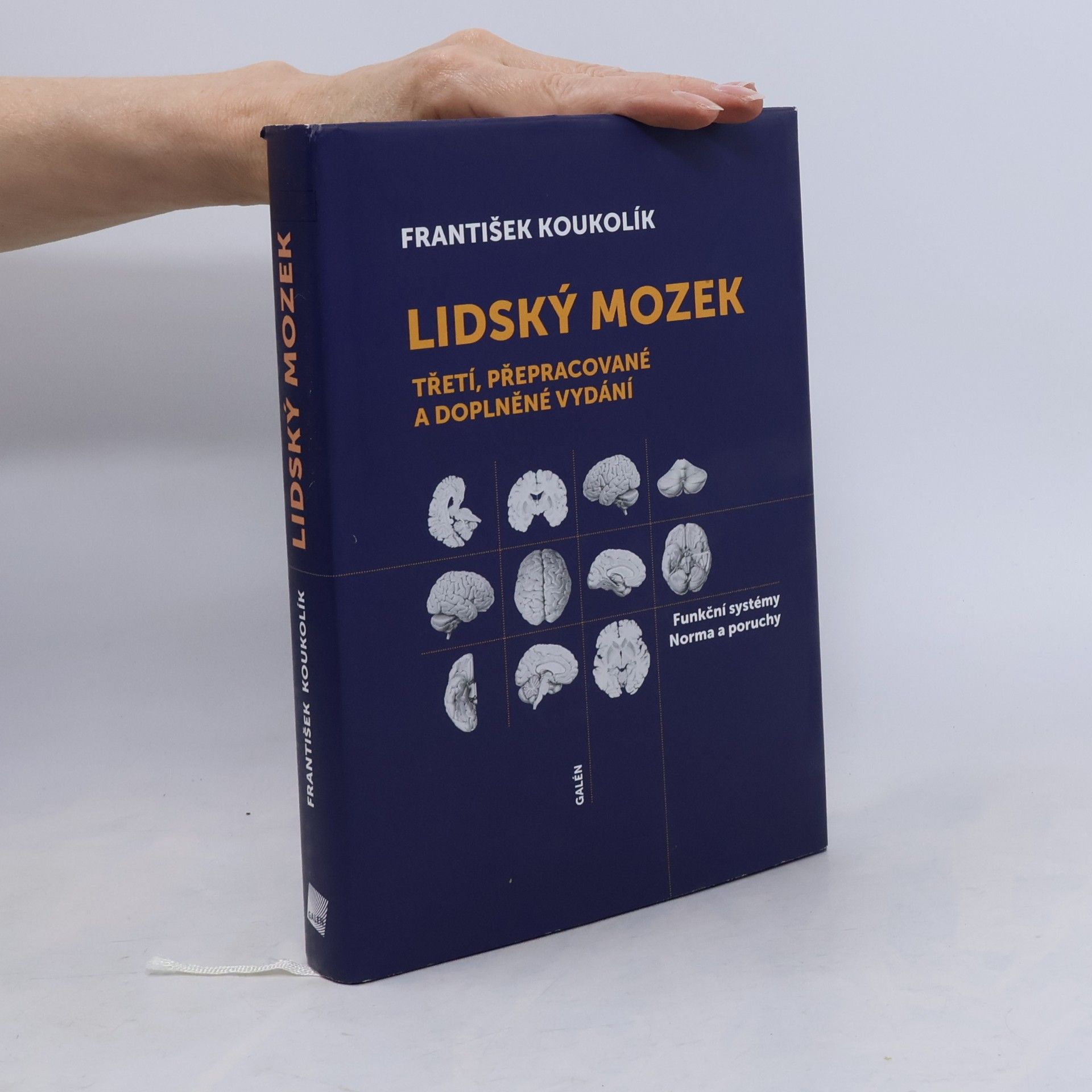 František Koukolík Lidský mozek