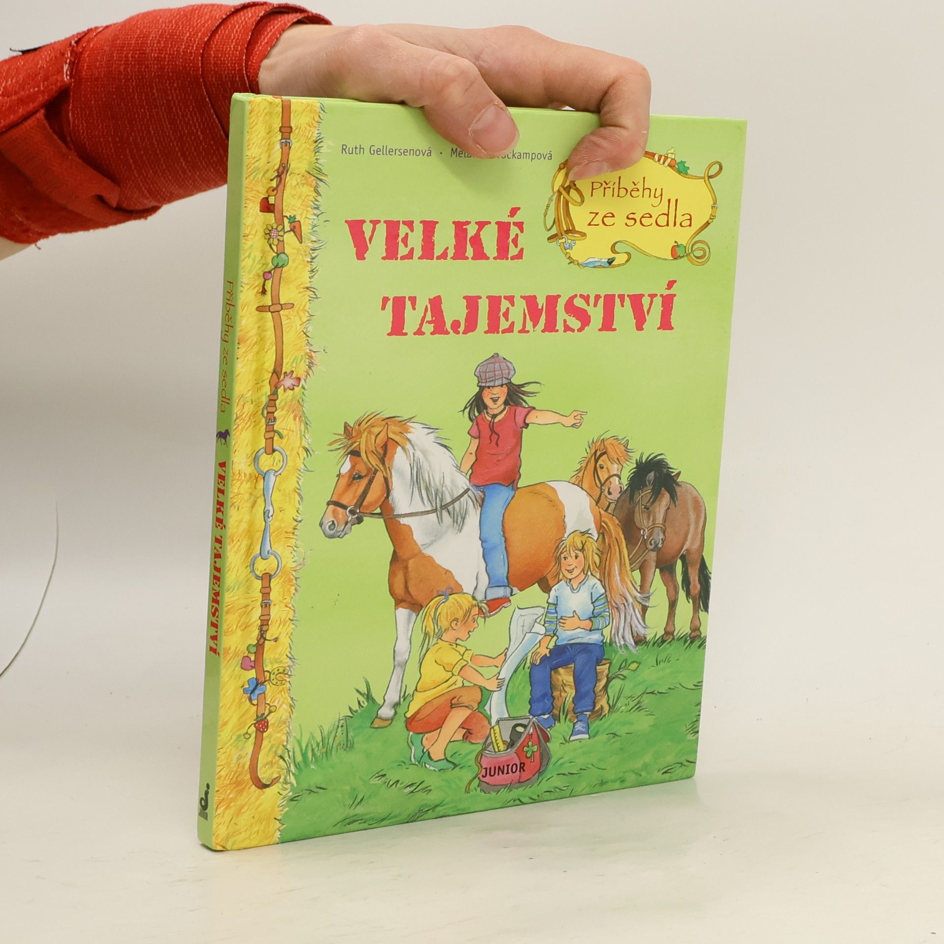 Ruth Gellersen Příběhy ze sedla. Velké tajemství