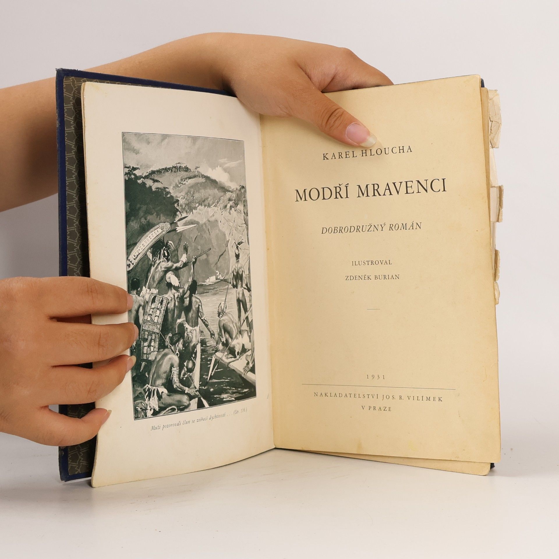 Karel Hloucha Modří mravenci